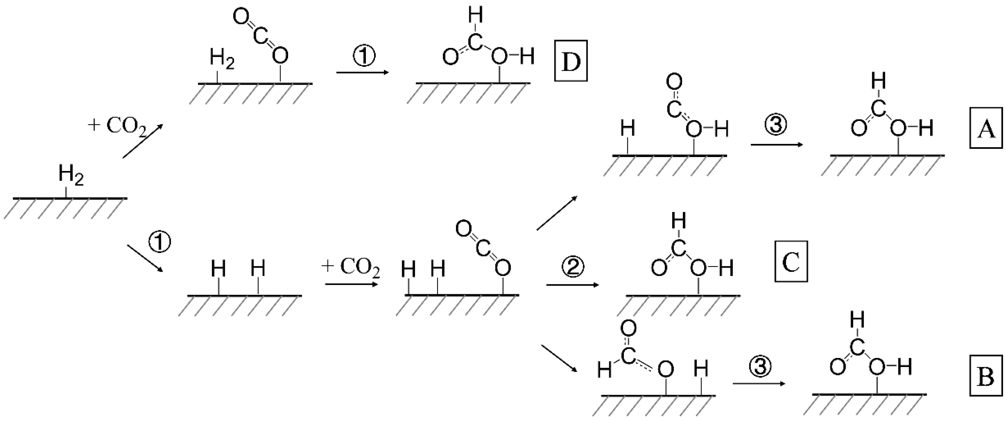 Catalysts 15 00978 g003
