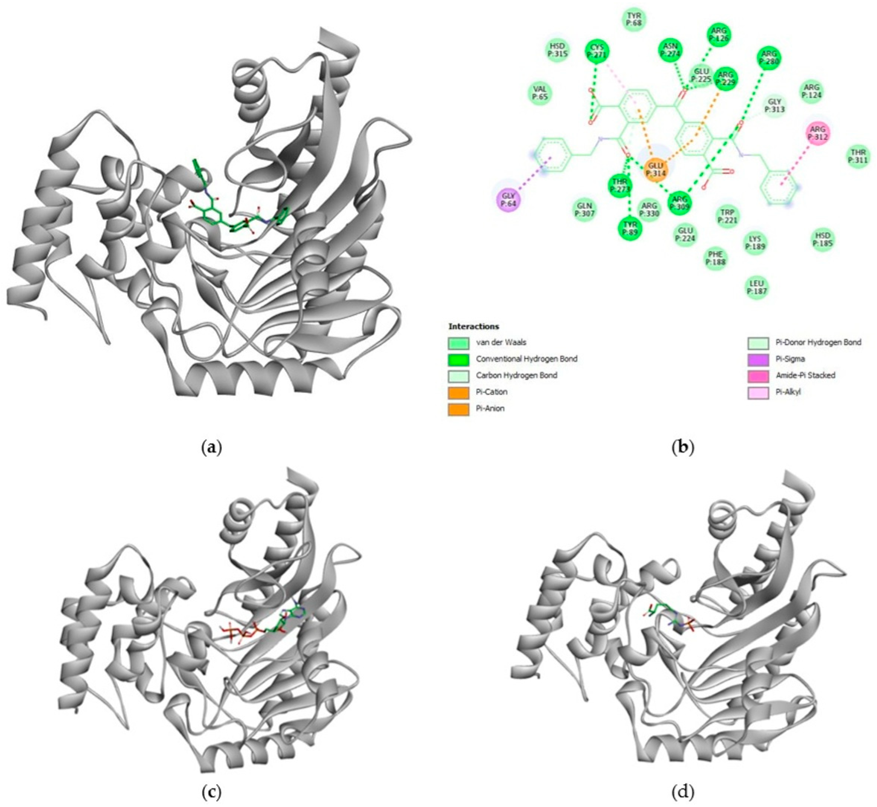 Catalysts 15 00982 g005 Catalysts 15 00982 g005