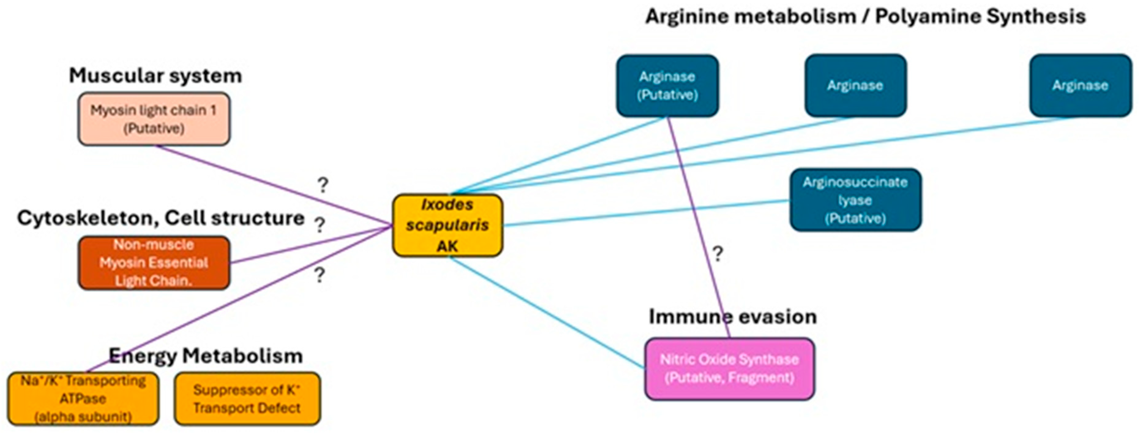 Catalysts 15 00982 g007 Catalysts 15 00982 g007