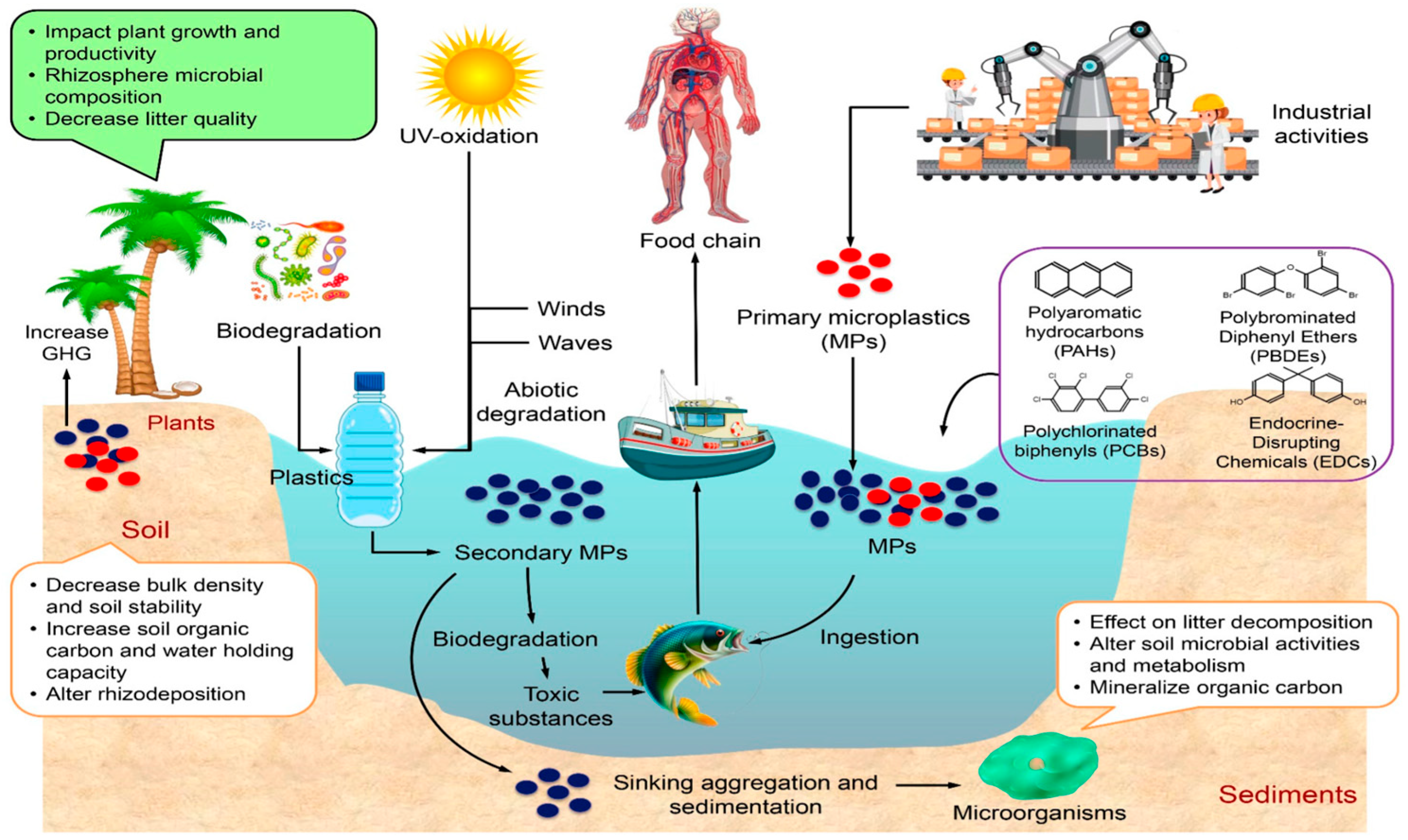 Catalysts 15 00984 g002