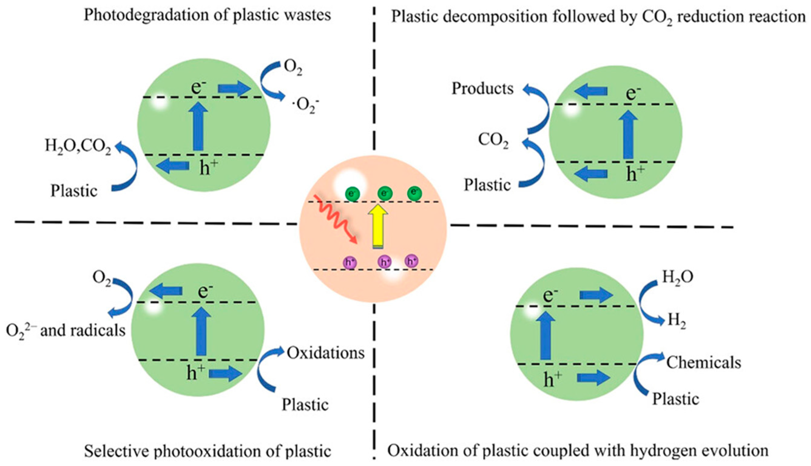 Catalysts 15 00984 g005