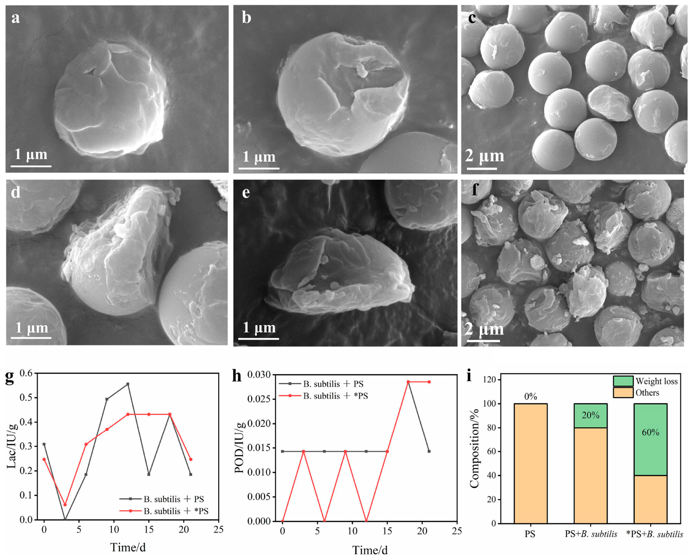Catalysts 15 00984 g007