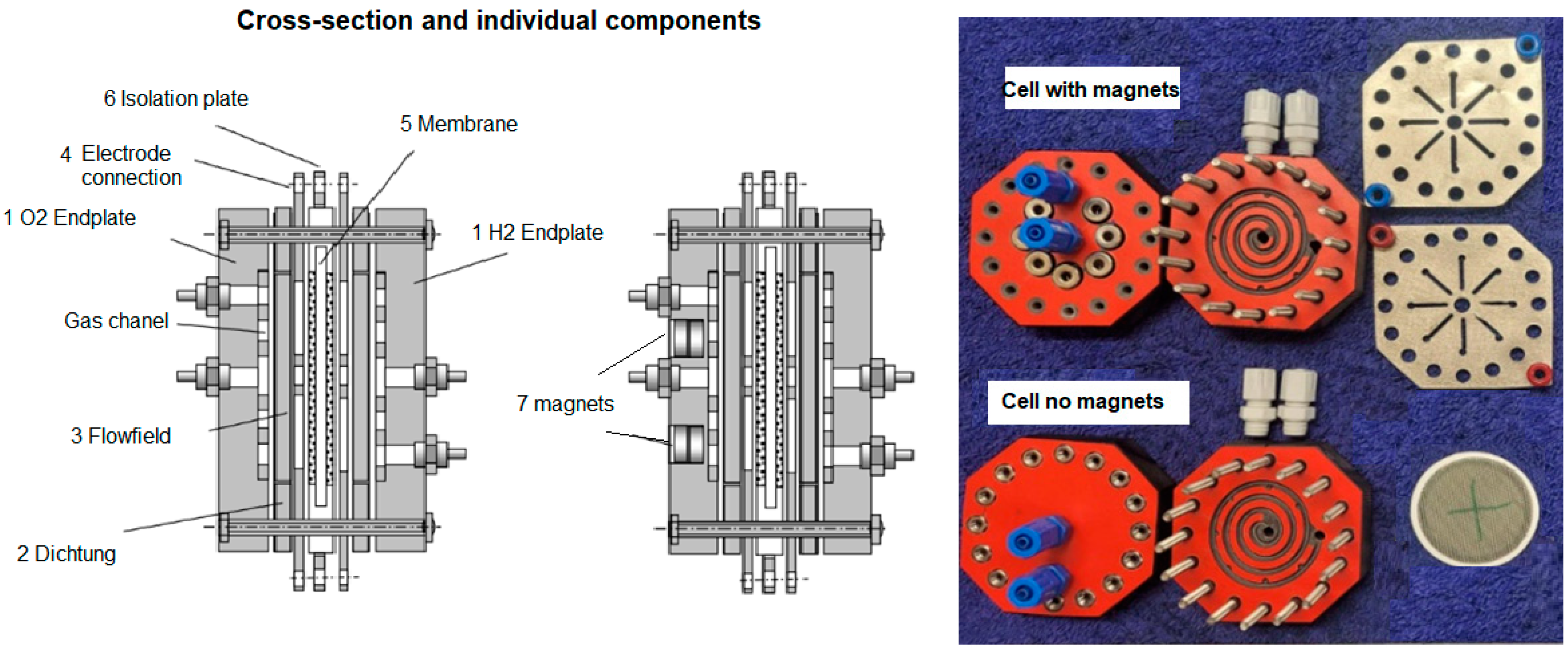 Catalysts 15 00985 g002