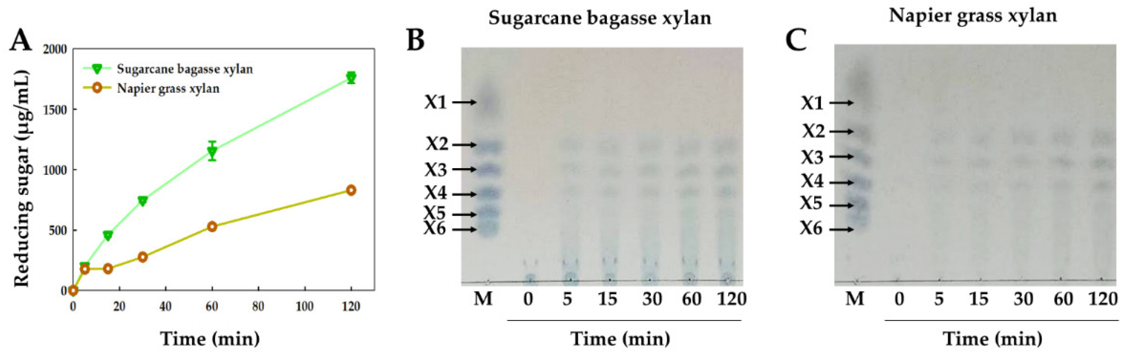 Catalysts 15 00988 g010