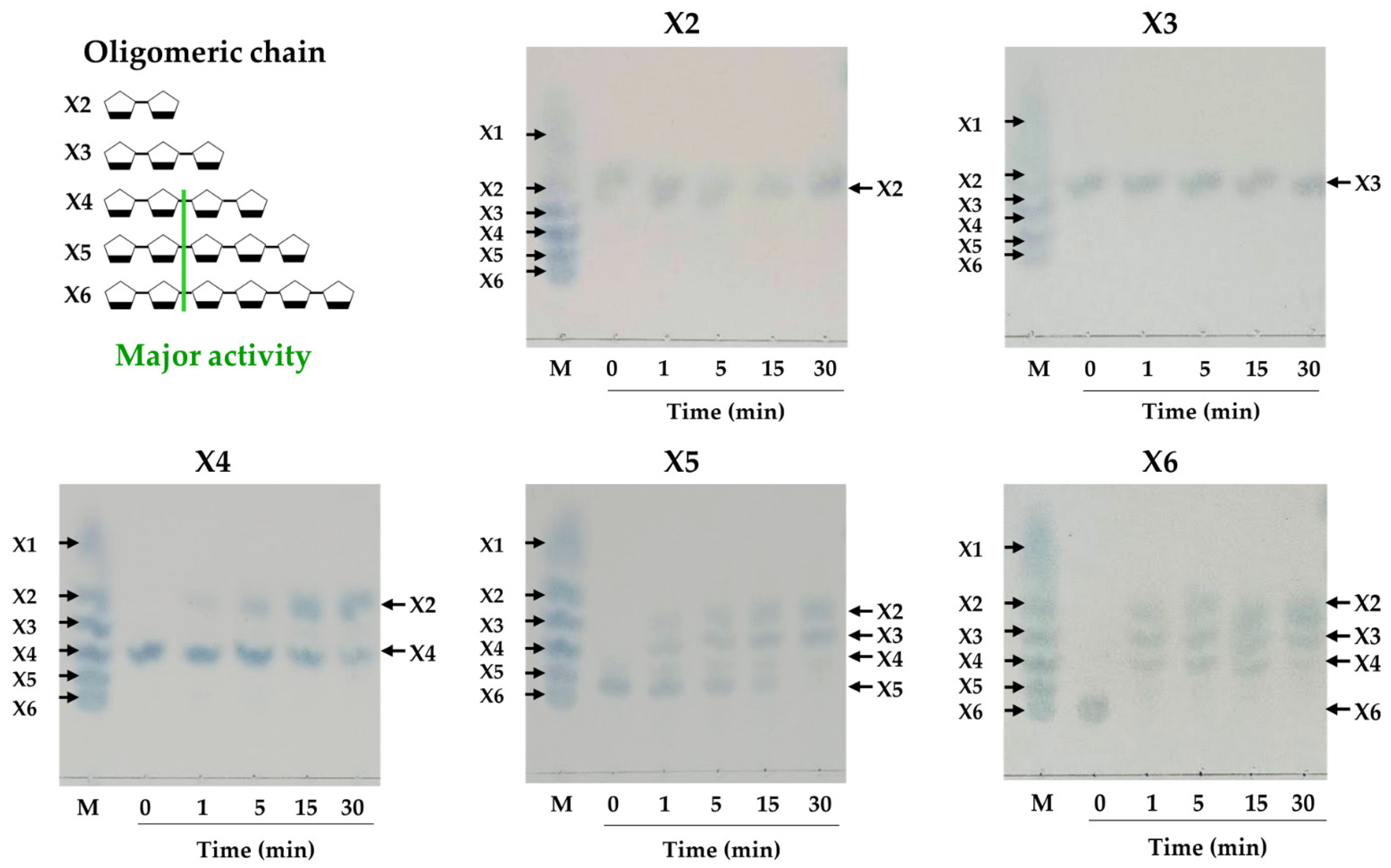 Catalysts 15 00988 g011