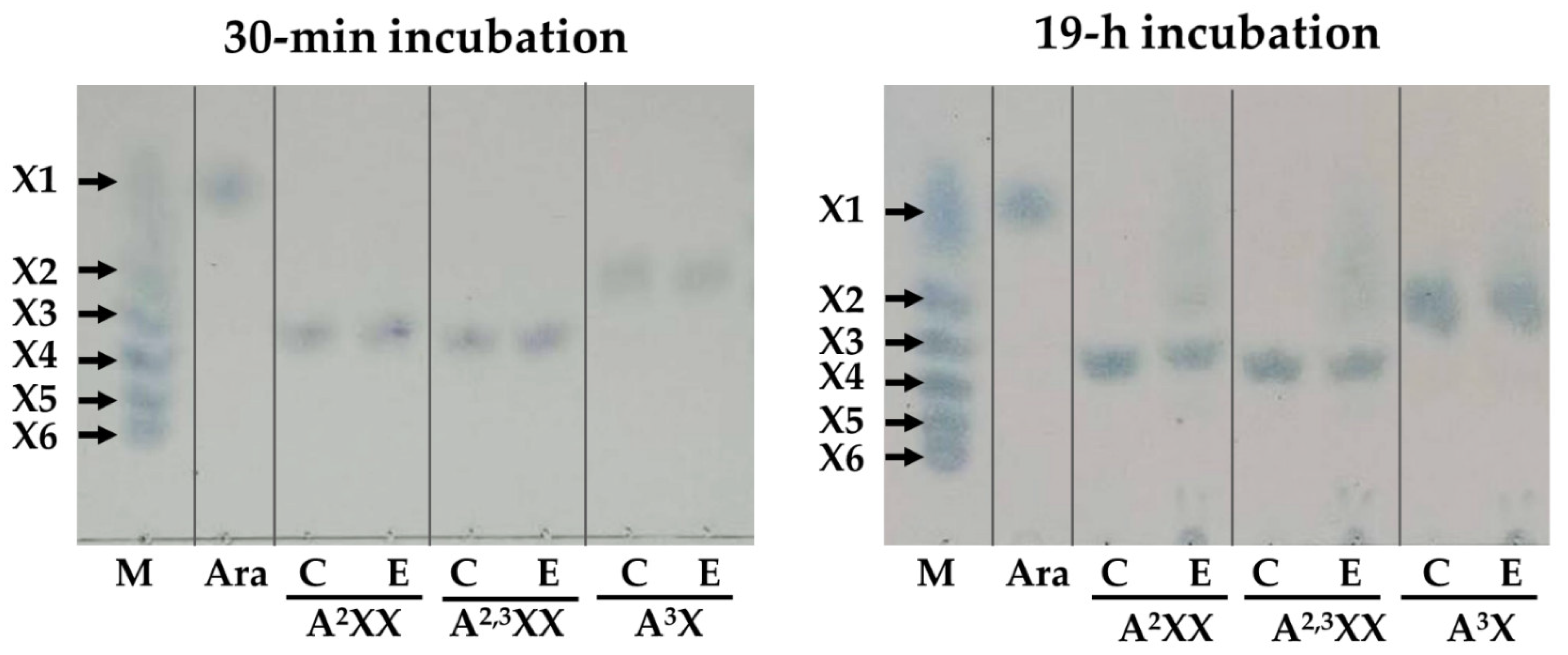 Catalysts 15 00988 g012