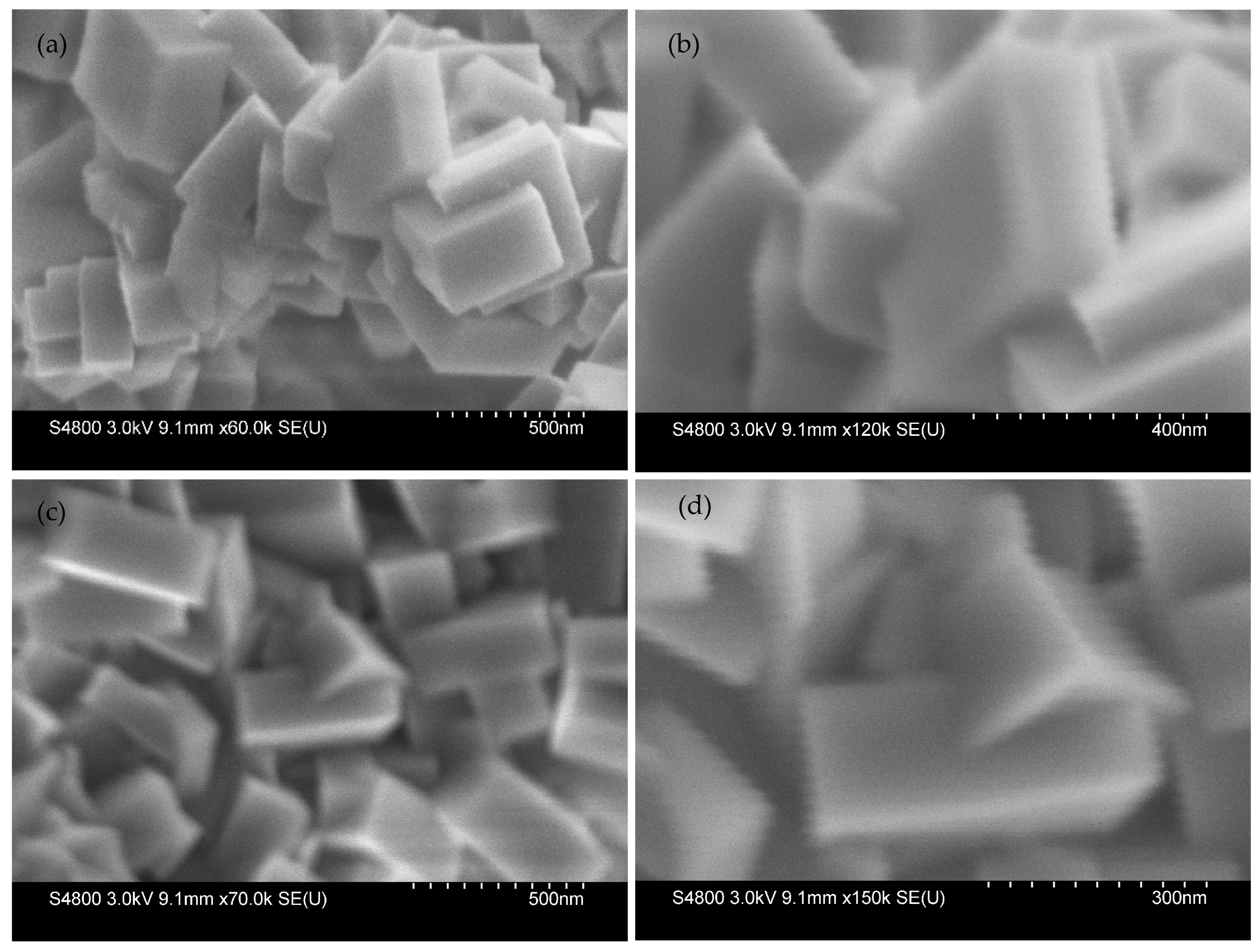 Catalysts 15 00989 g004 Catalysts 15 00989 g004