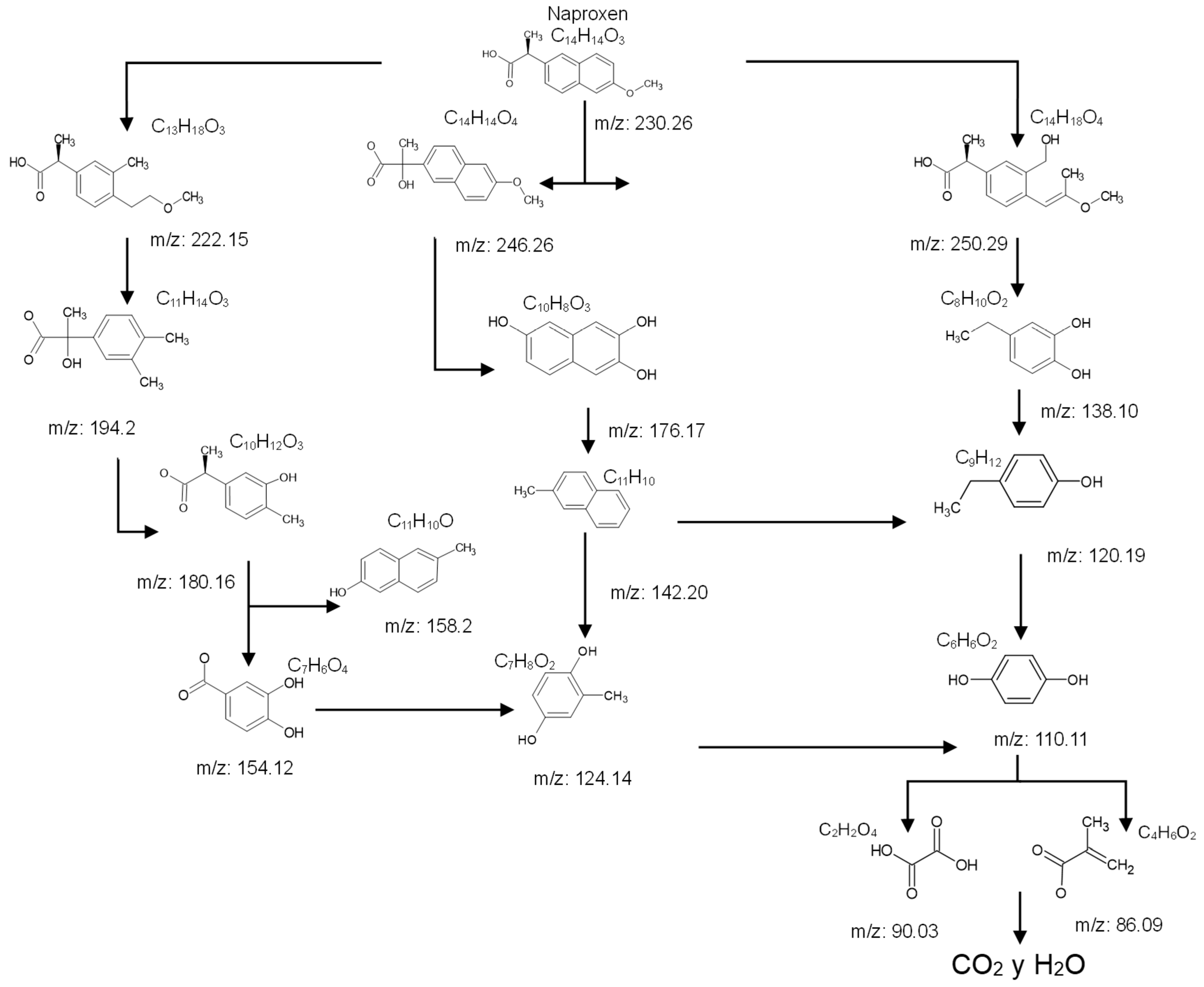 Catalysts 15 00993 g009 Catalysts 15 00993 g009