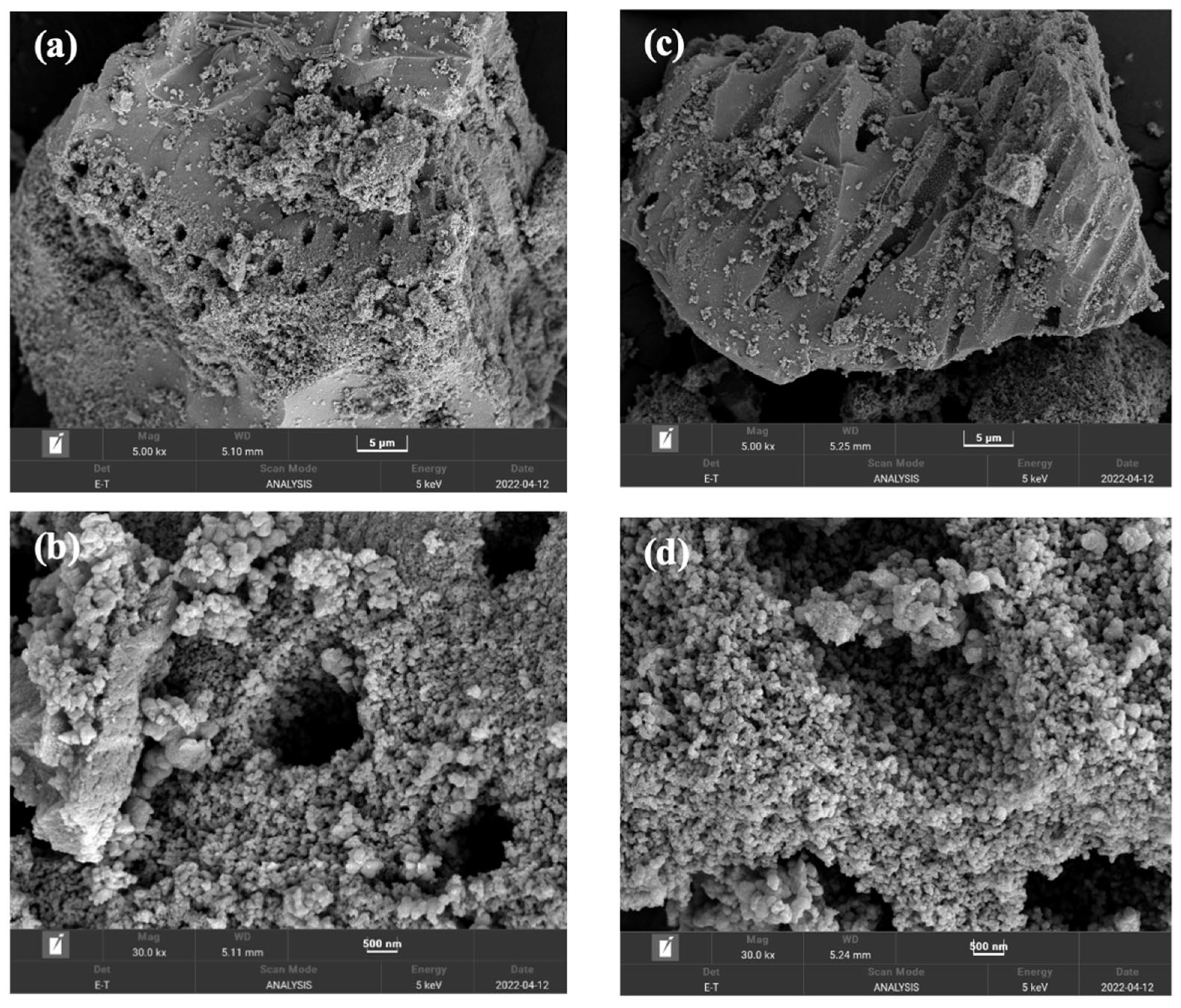 Catalysts 15 00999 g002