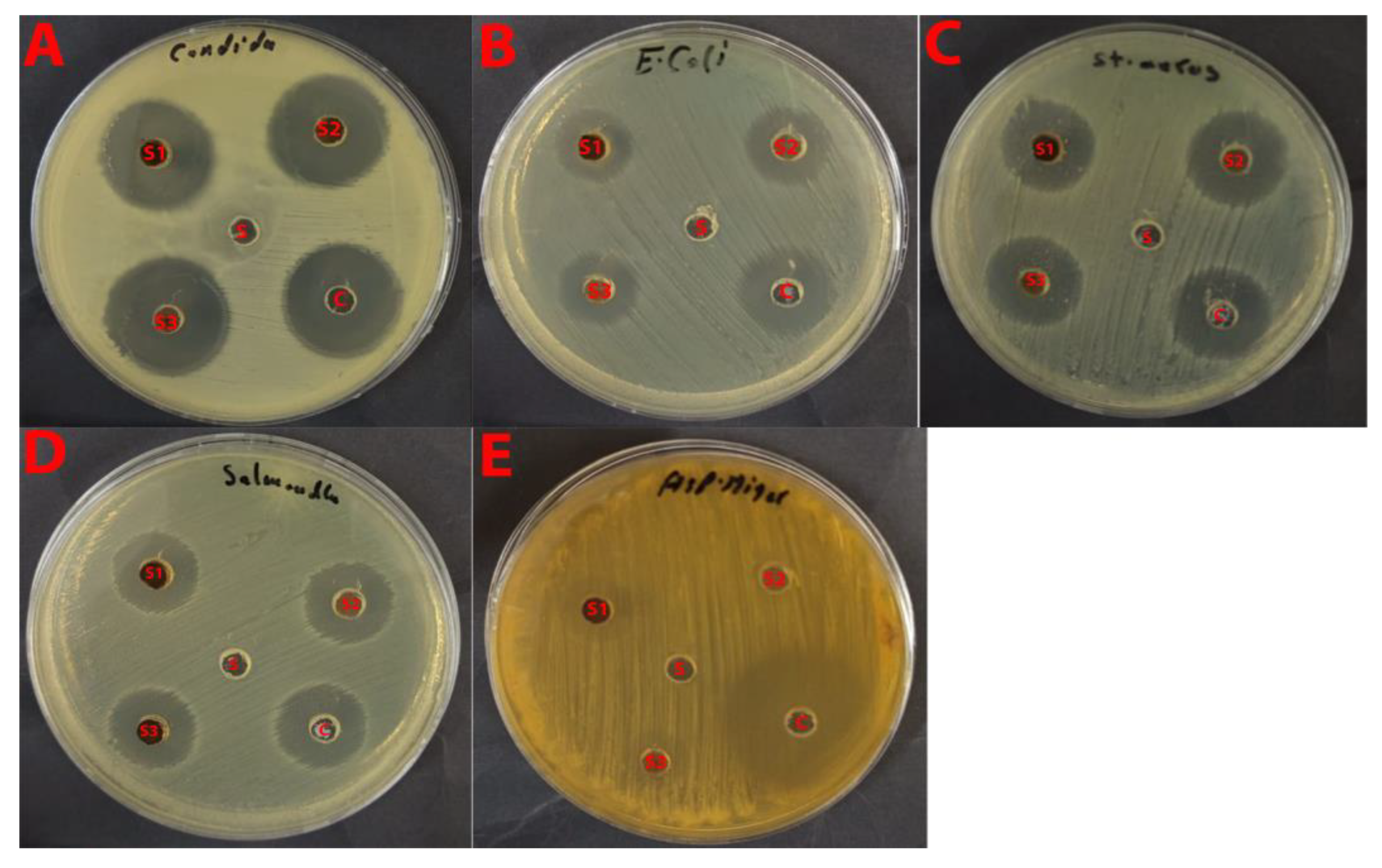 Catalysts 15 01001 g011 Catalysts 15 01001 g011