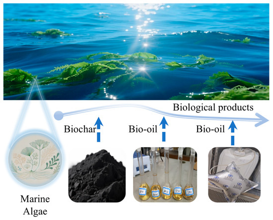 ミー 98 Kawasaki ZX11 ZX1100 ZX 1100 D Ninja Muffler Exhaust