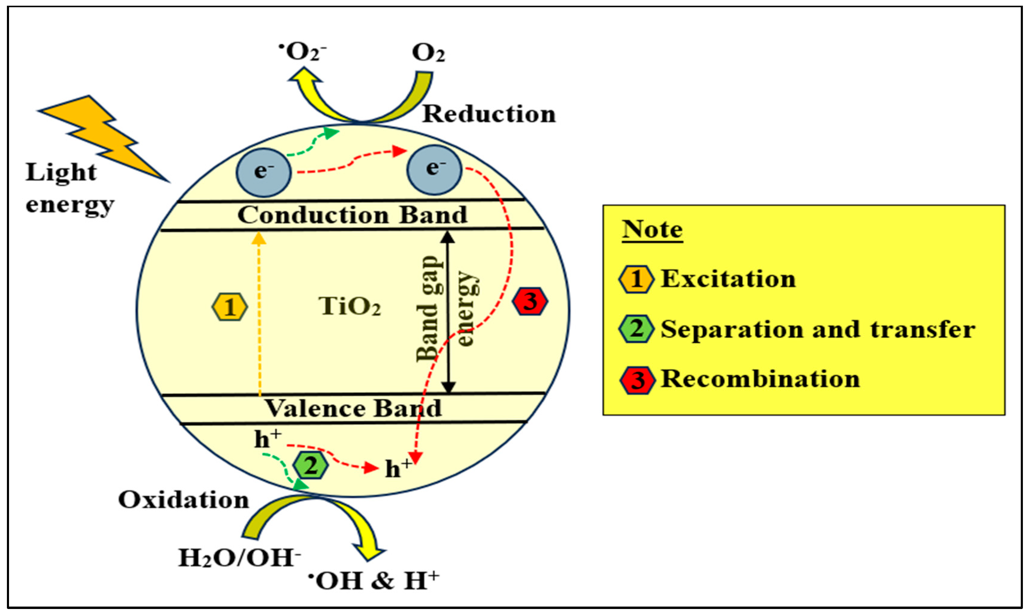 Catalysts 15 01010 g001 Catalysts 15 01010 g001