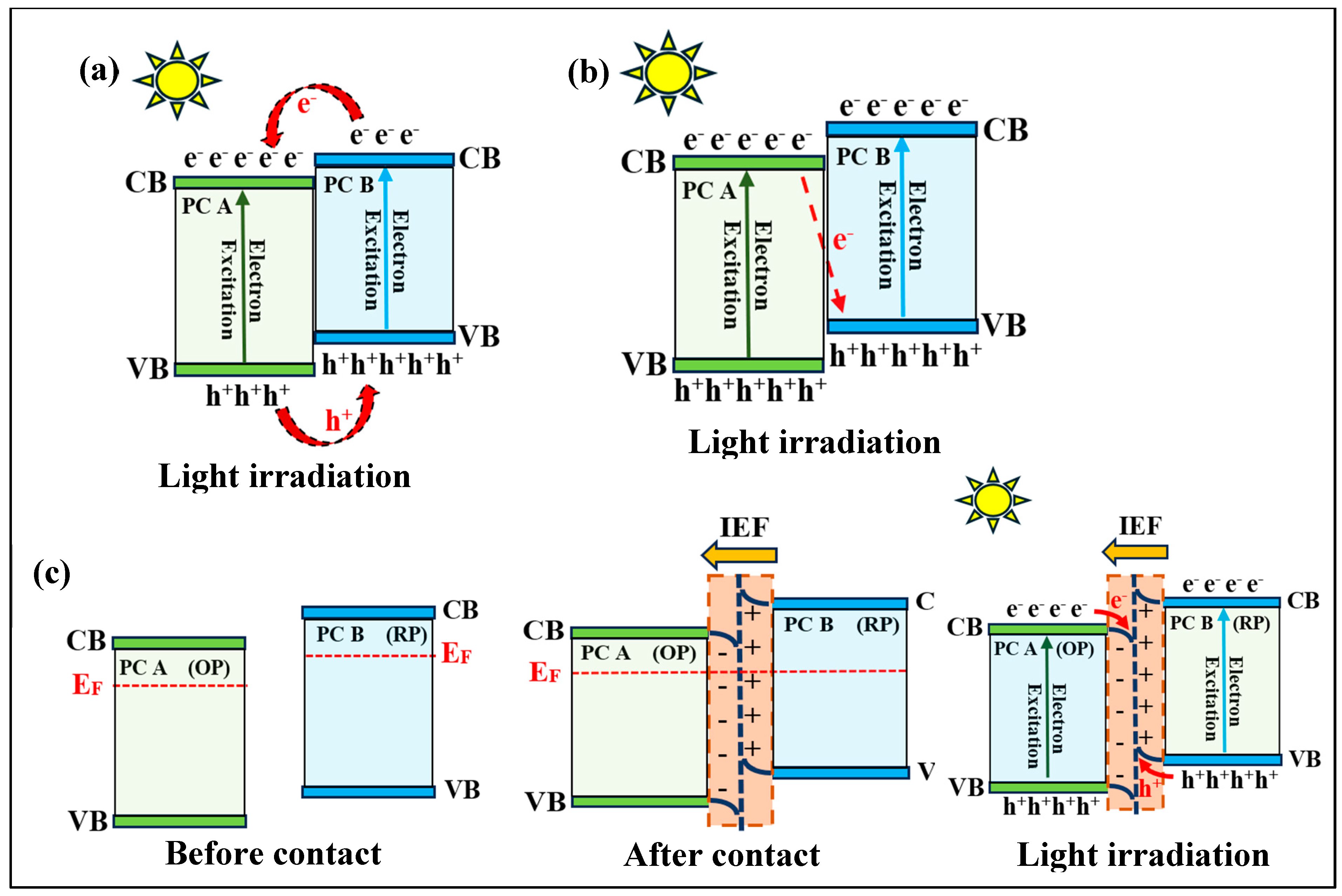 Catalysts 15 01010 g003 Catalysts 15 01010 g003