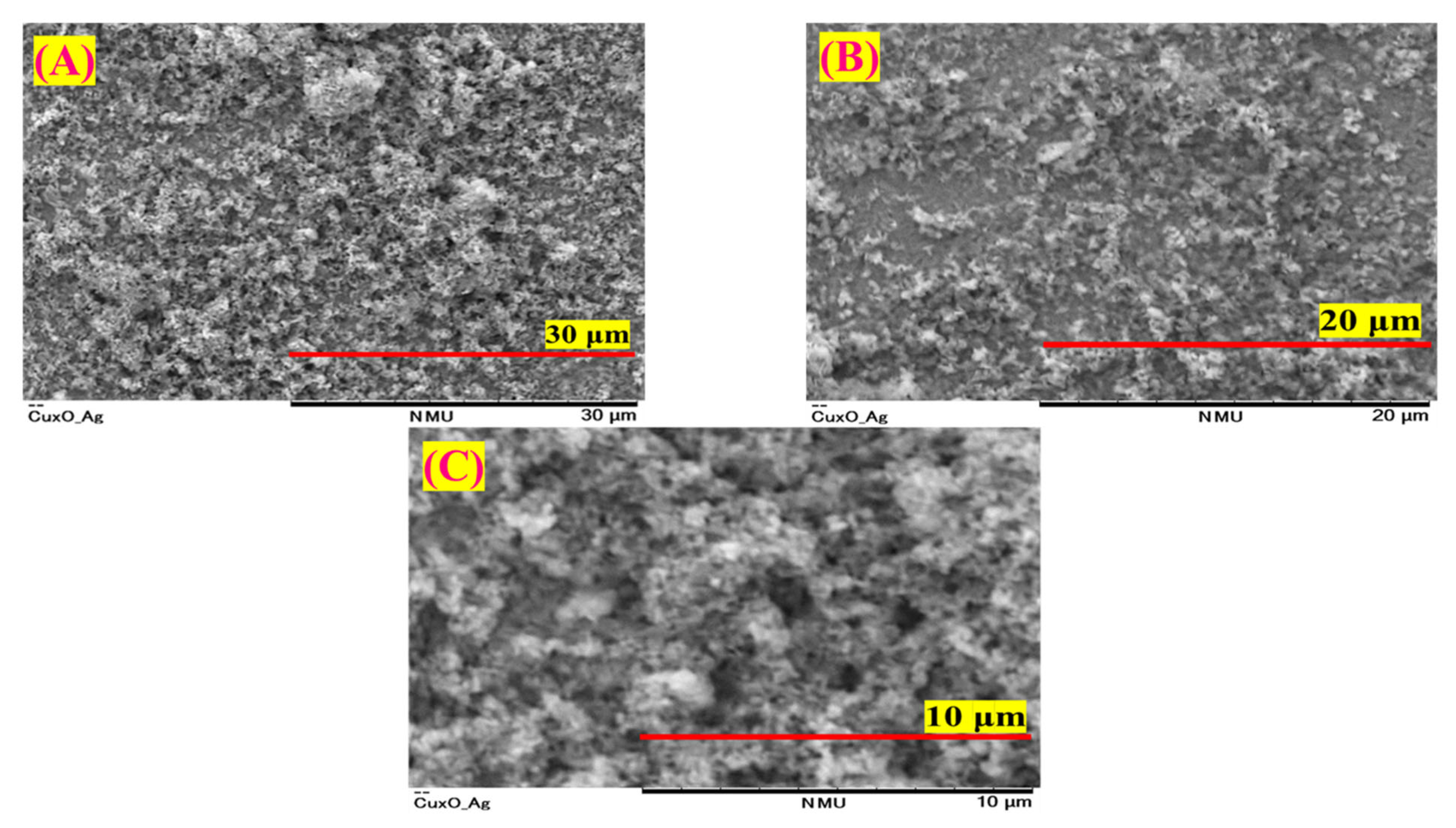 Catalysts 15 01012 g008 Catalysts 15 01012 g008