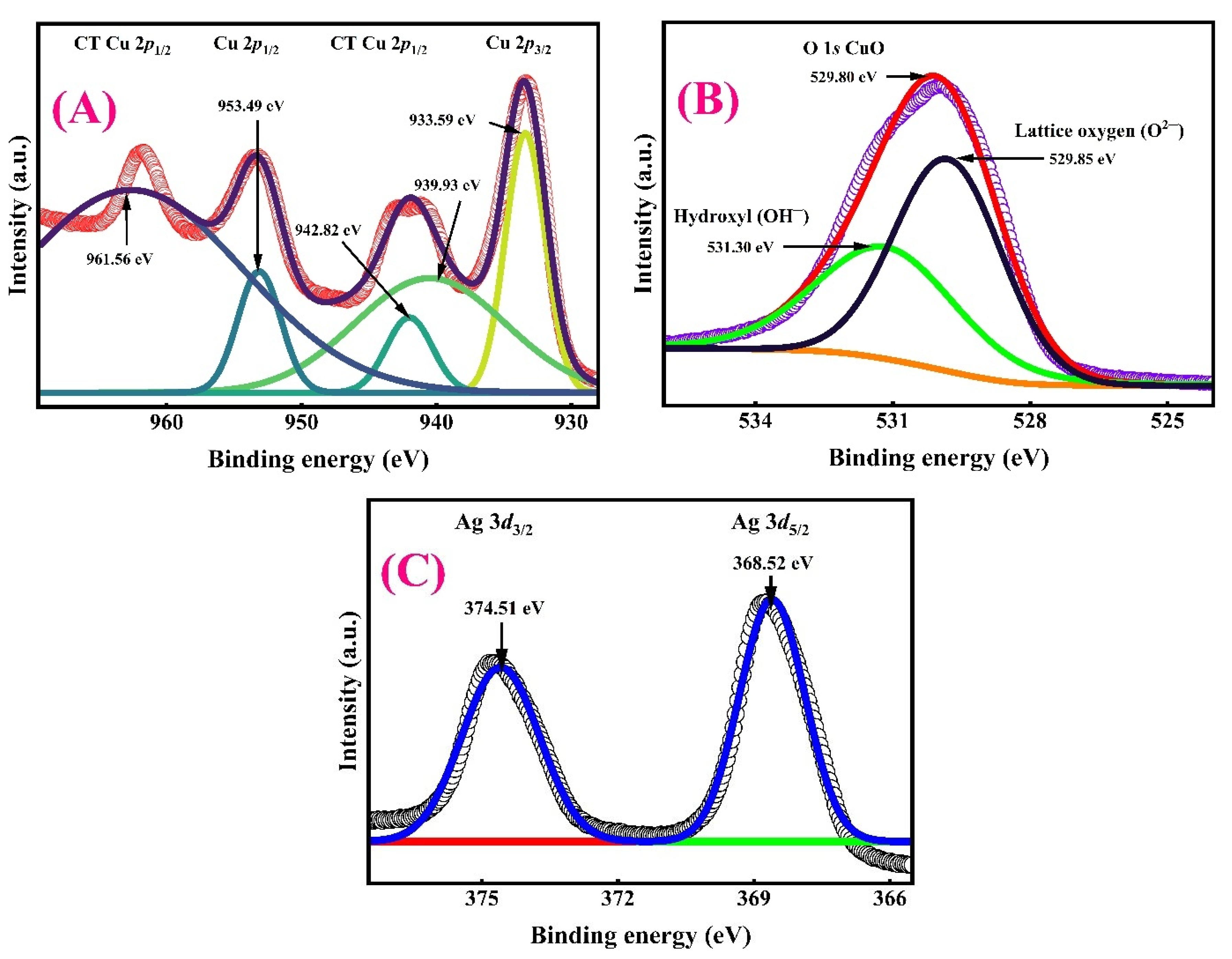 Catalysts 15 01012 g009 Catalysts 15 01012 g009
