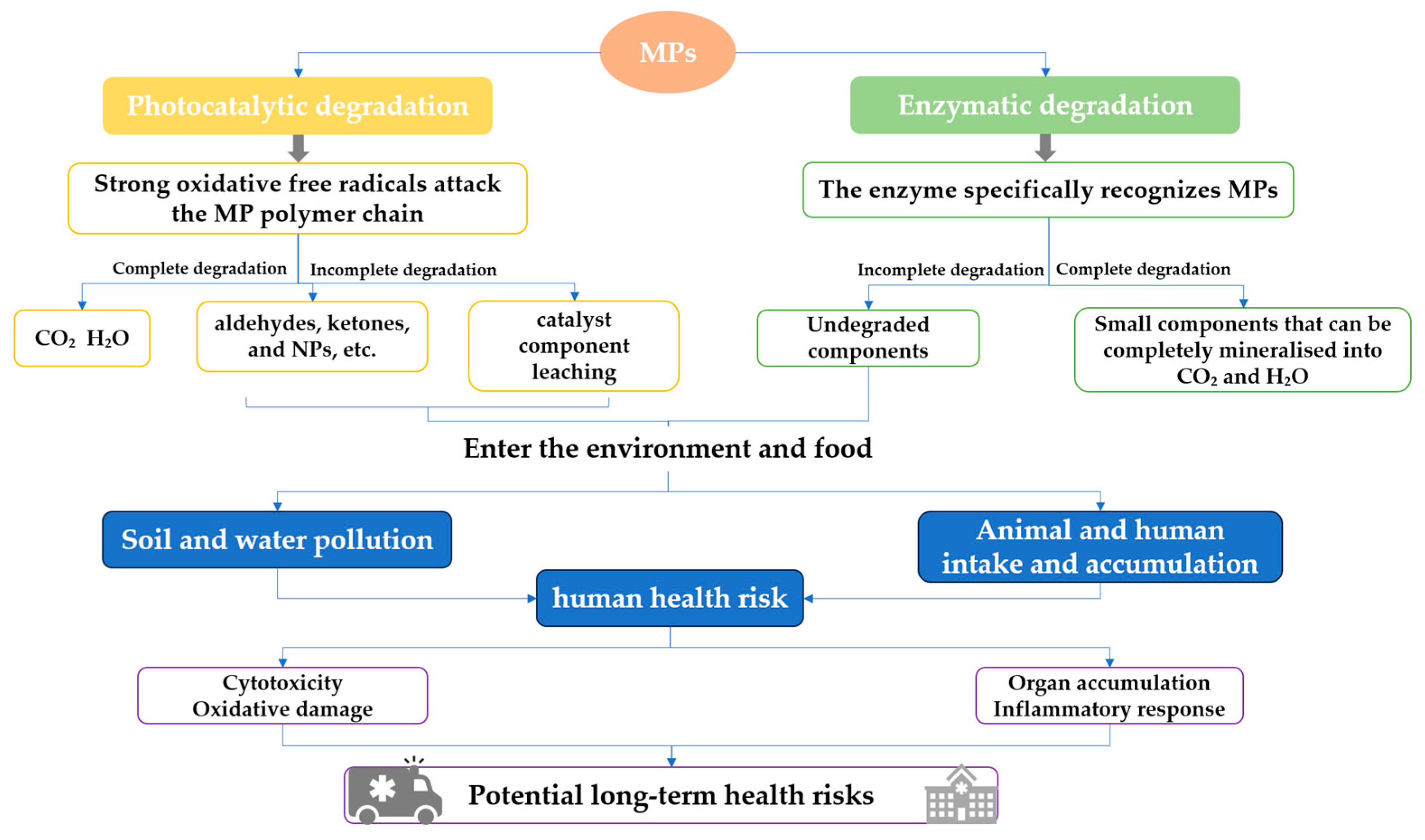 Catalysts 15 01015 g002 Catalysts 15 01015 g002