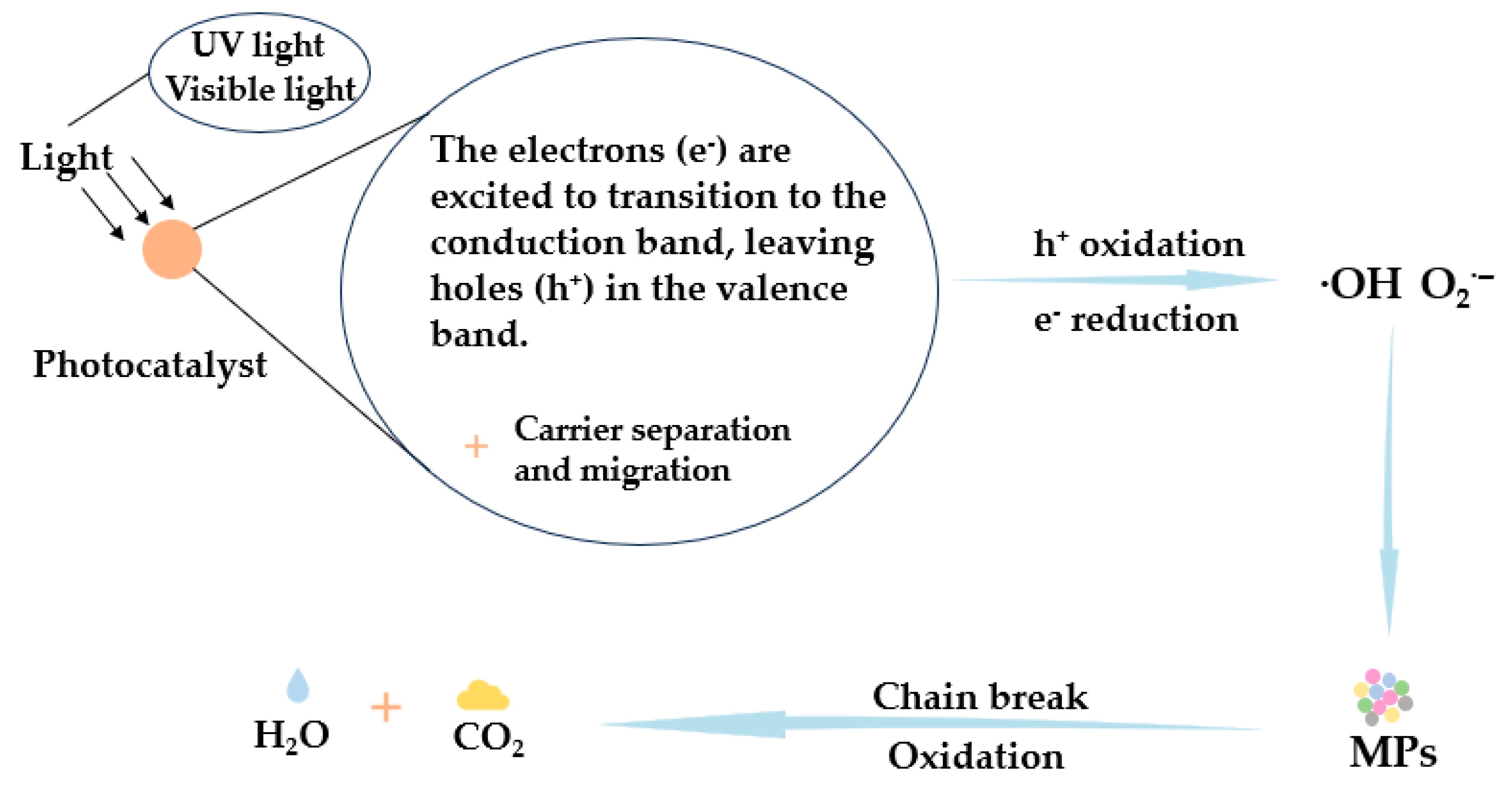 Catalysts 15 01015 g003 Catalysts 15 01015 g003