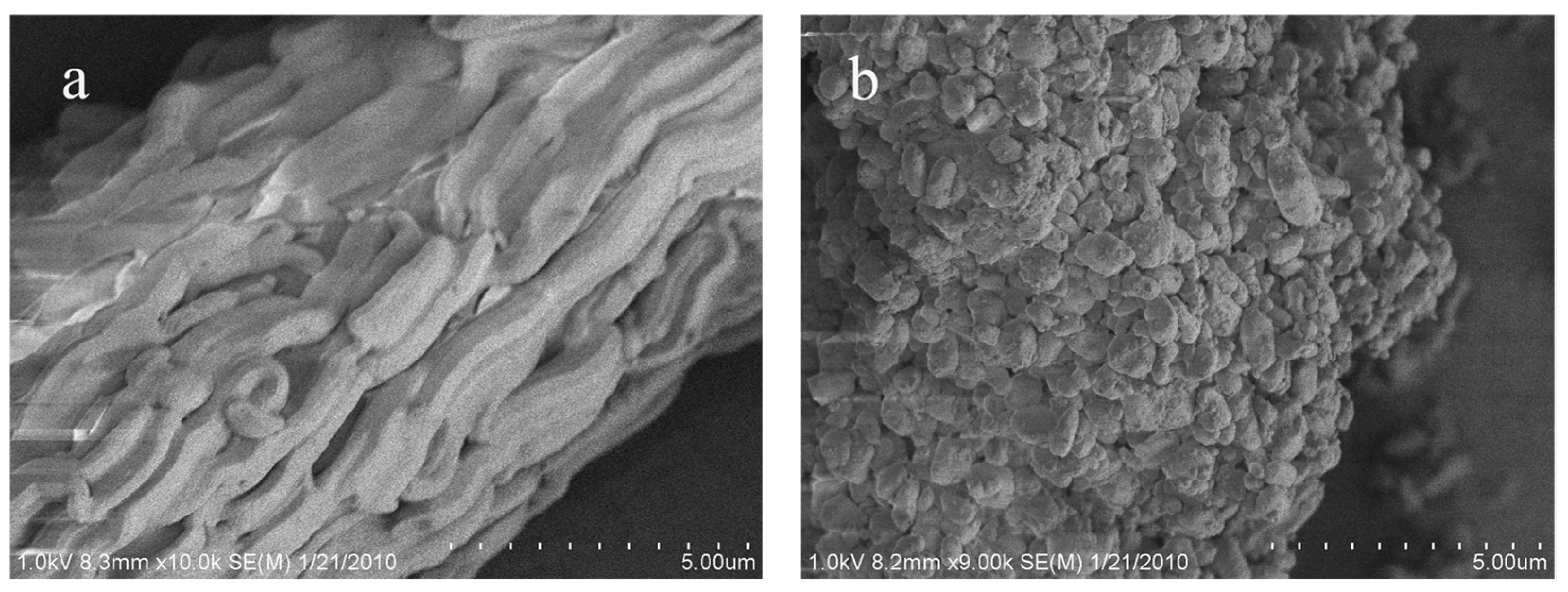 Catalysts 15 01016 g002