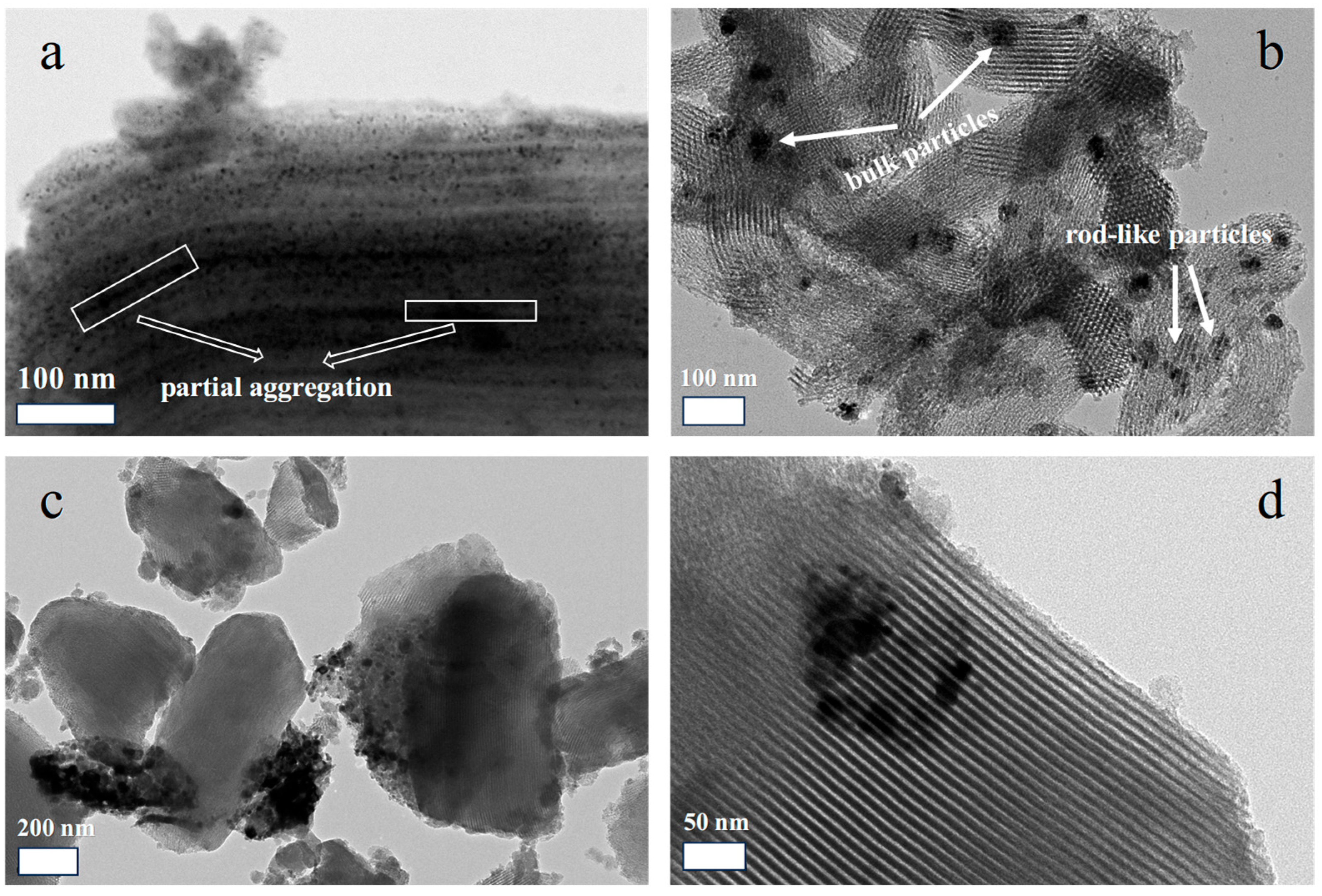Catalysts 15 01016 g006