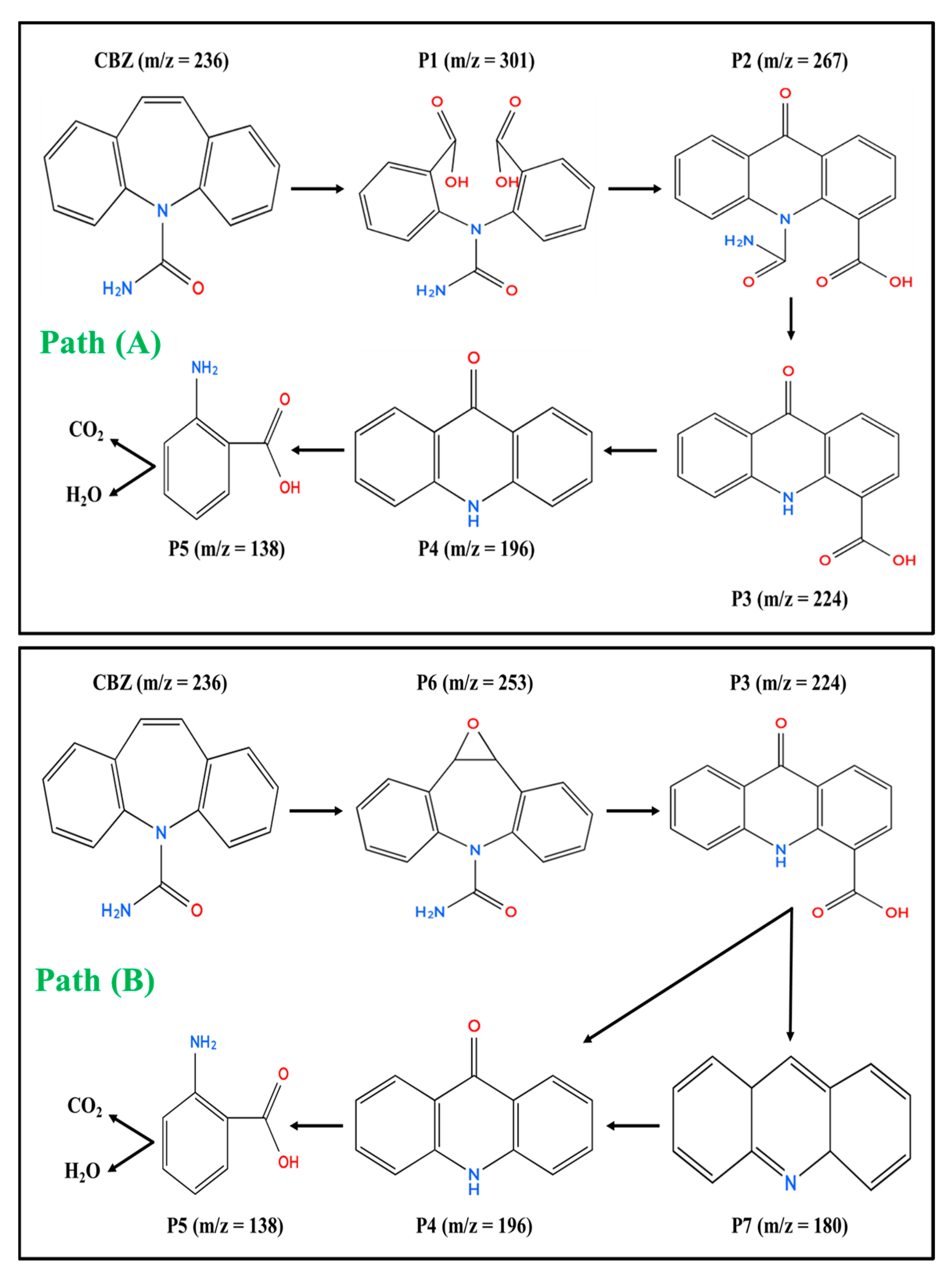 Catalysts 15 01017 g013 Catalysts 15 01017 g013