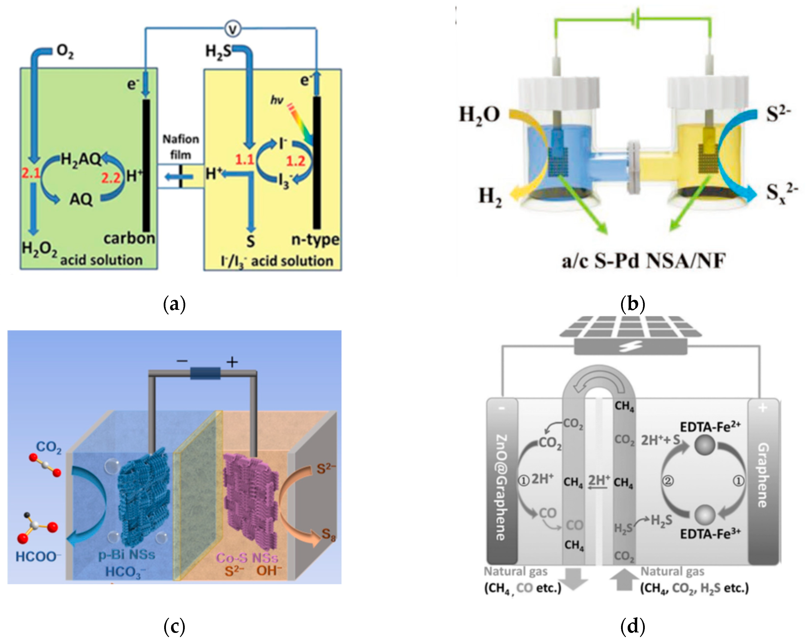 Catalysts 15 01019 g003 Catalysts 15 01019 g003