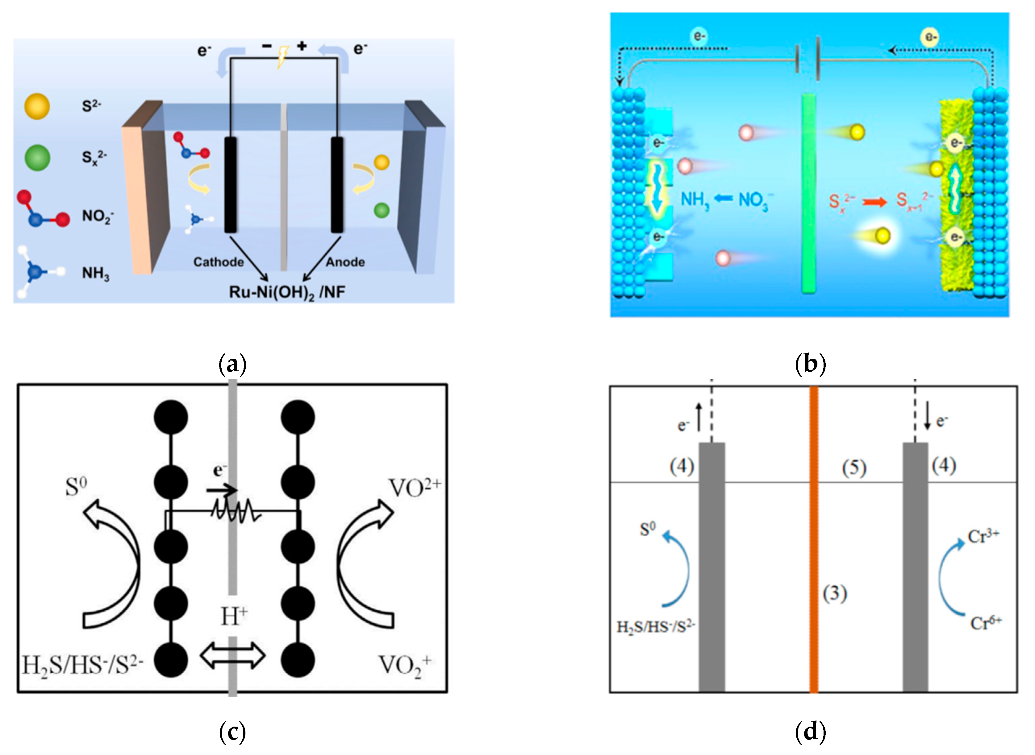 Catalysts 15 01019 g004 Catalysts 15 01019 g004