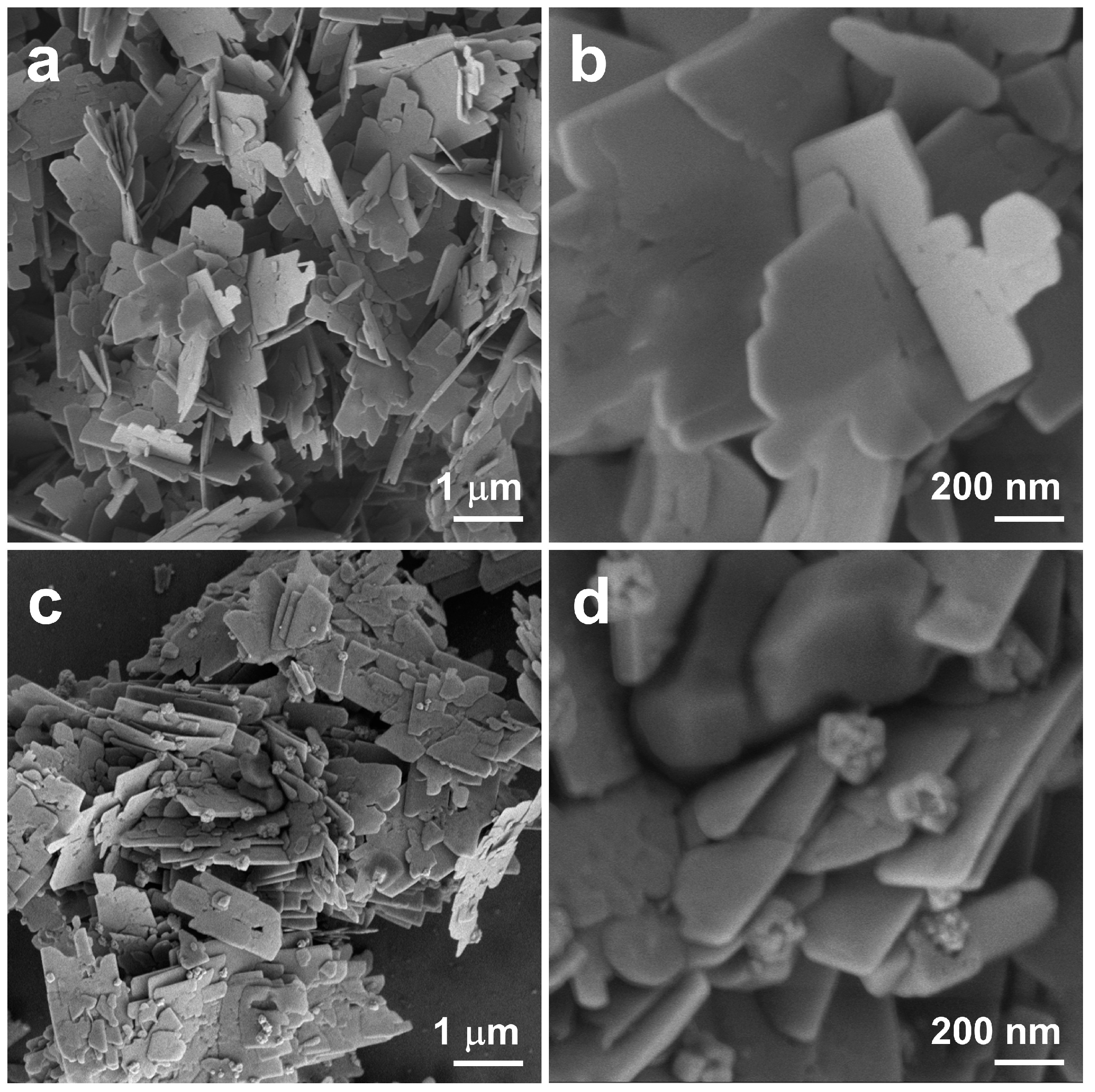 Catalysts 15 01020 g002 Catalysts 15 01020 g002