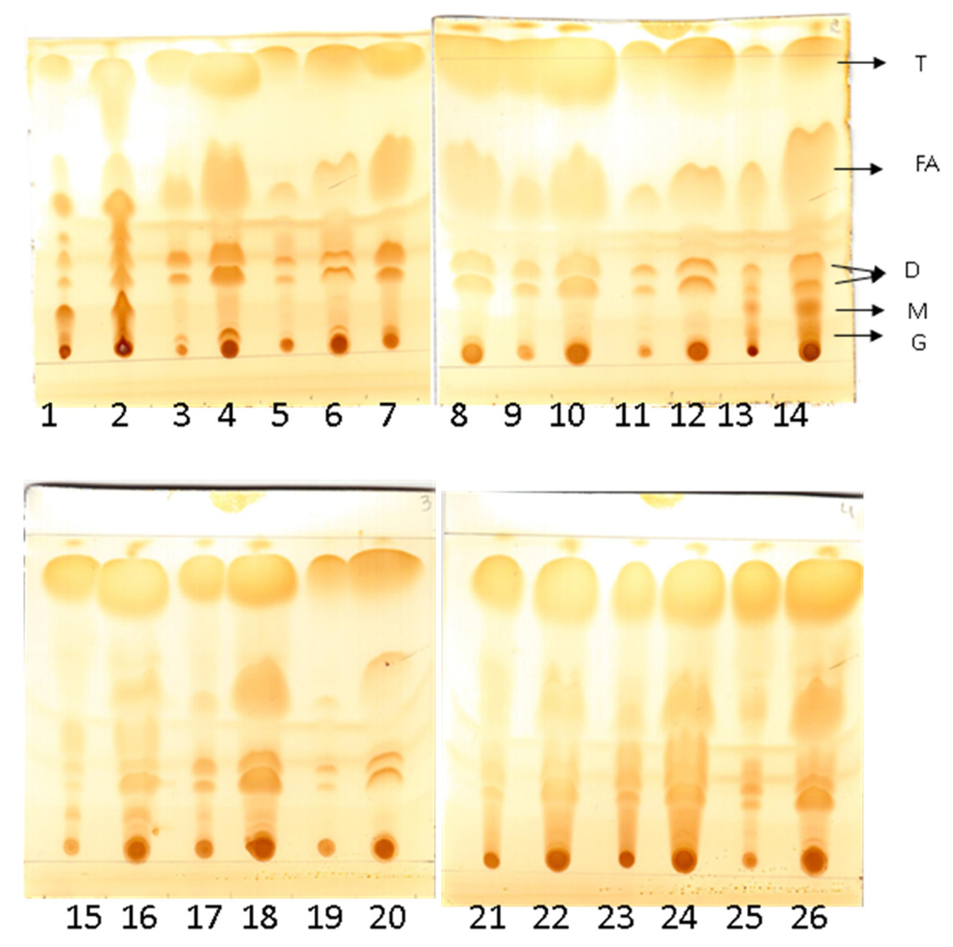 Catalysts 15 01021 g007