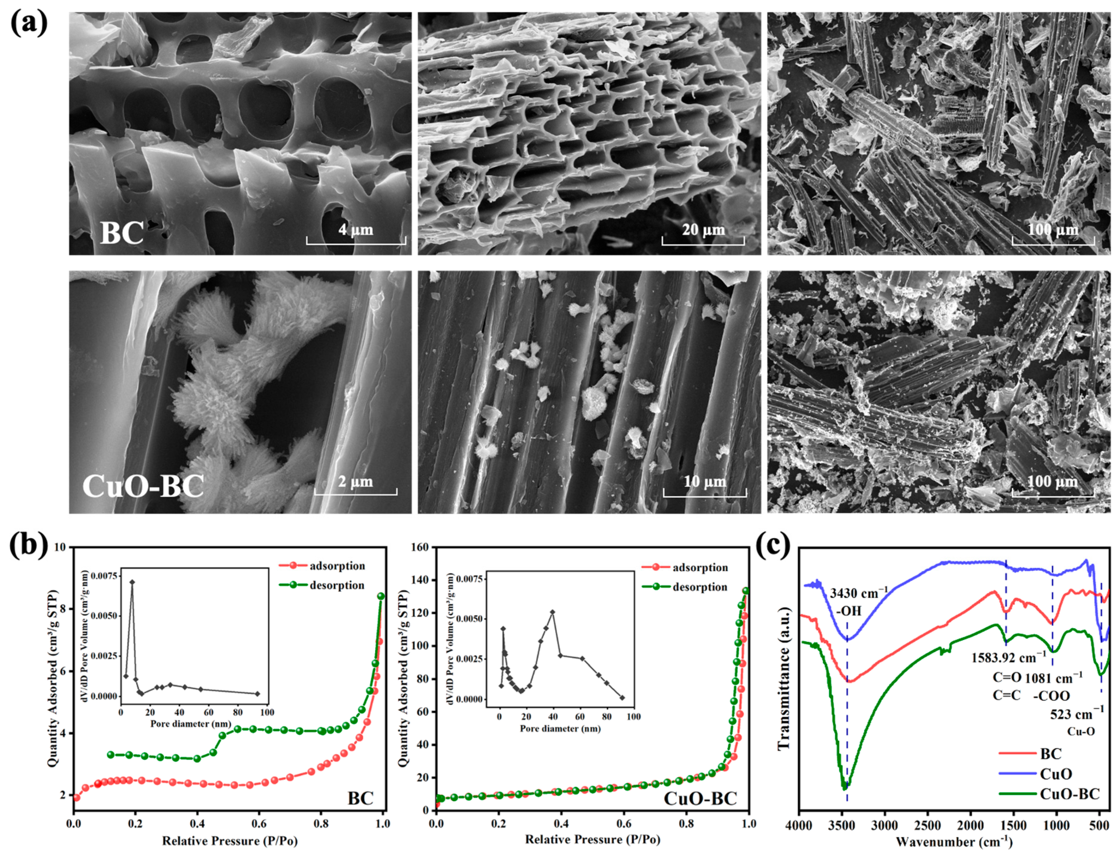 Catalysts 15 01027 g004