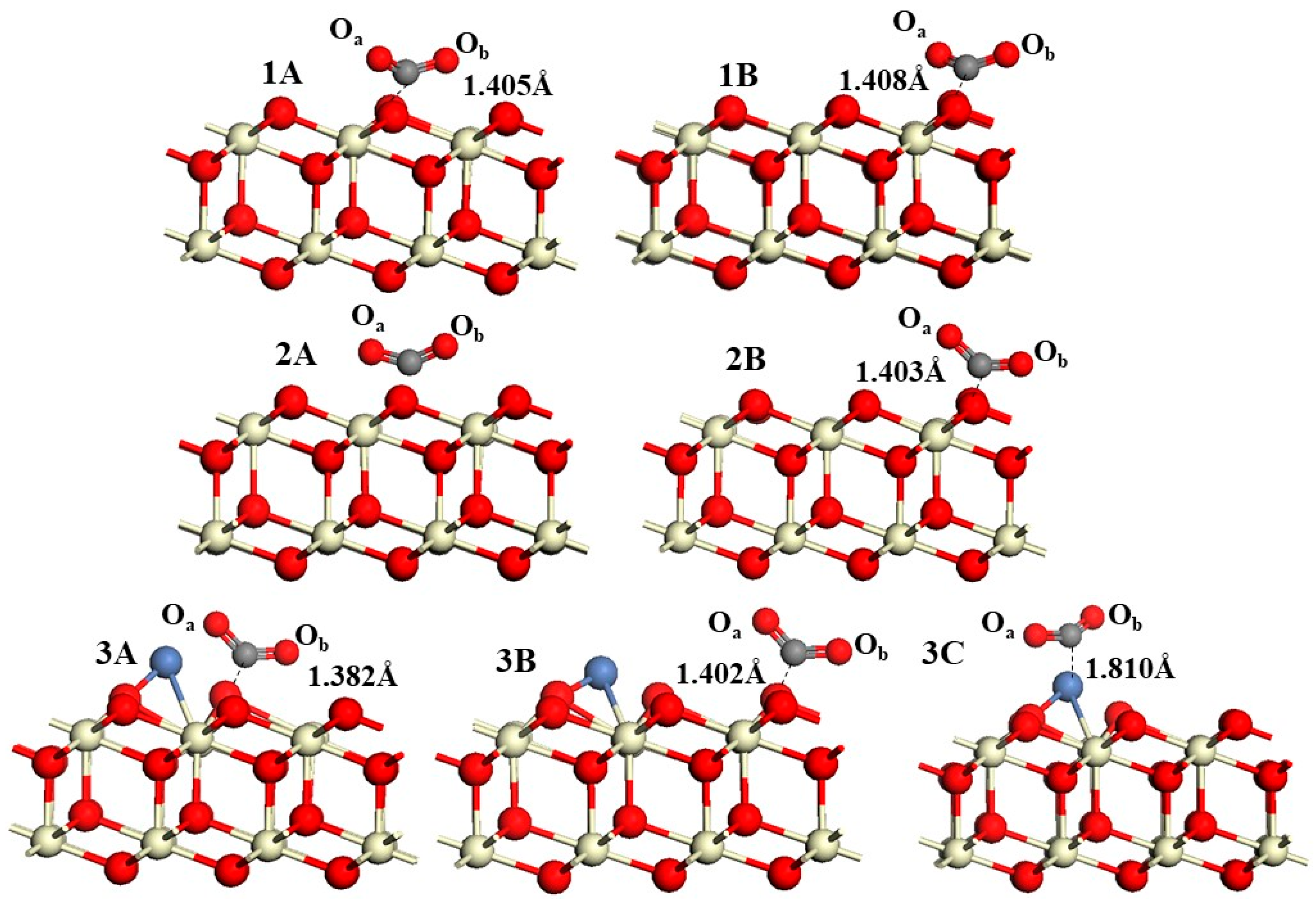 Catalysts 15 01028 g002