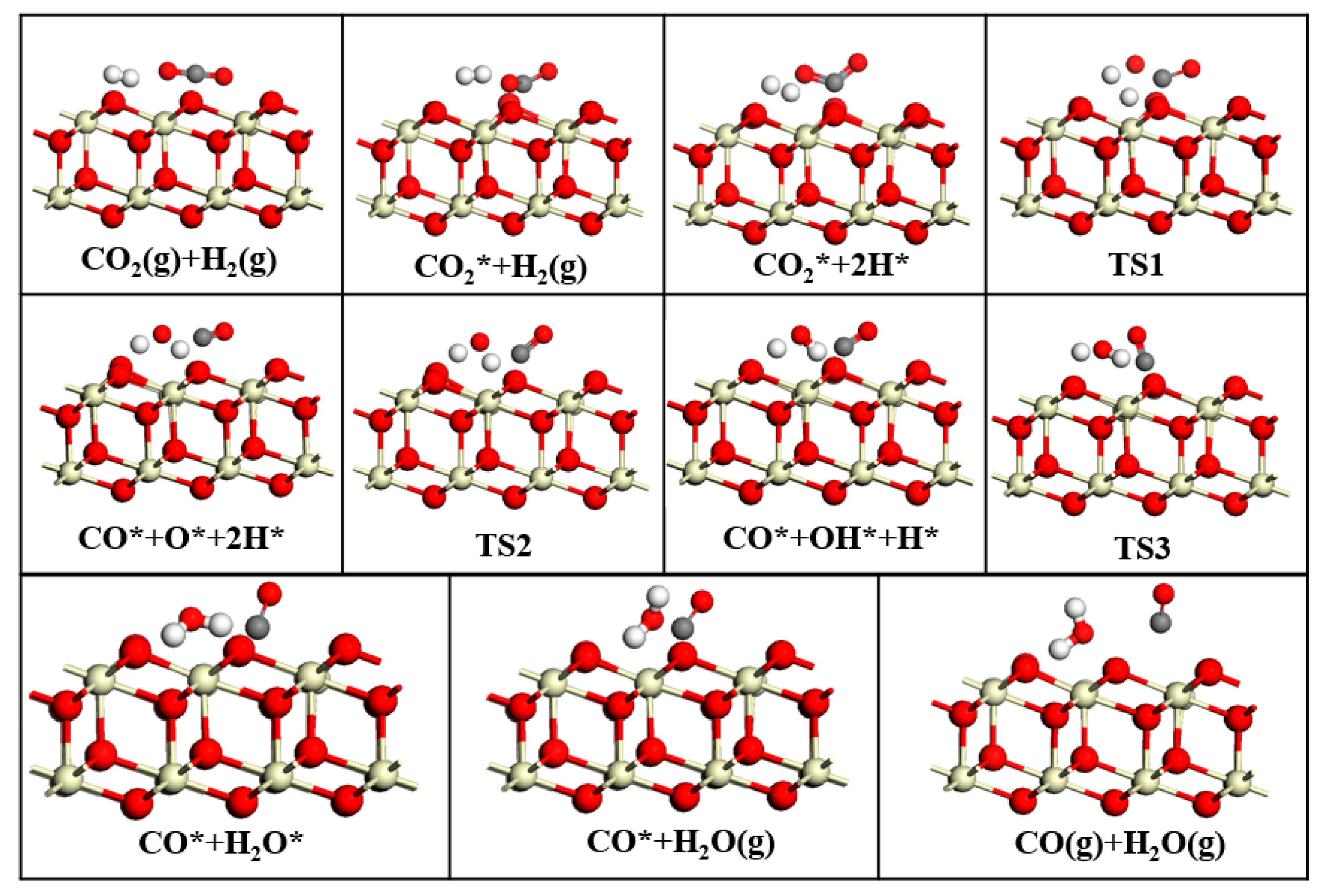 Catalysts 15 01028 g005