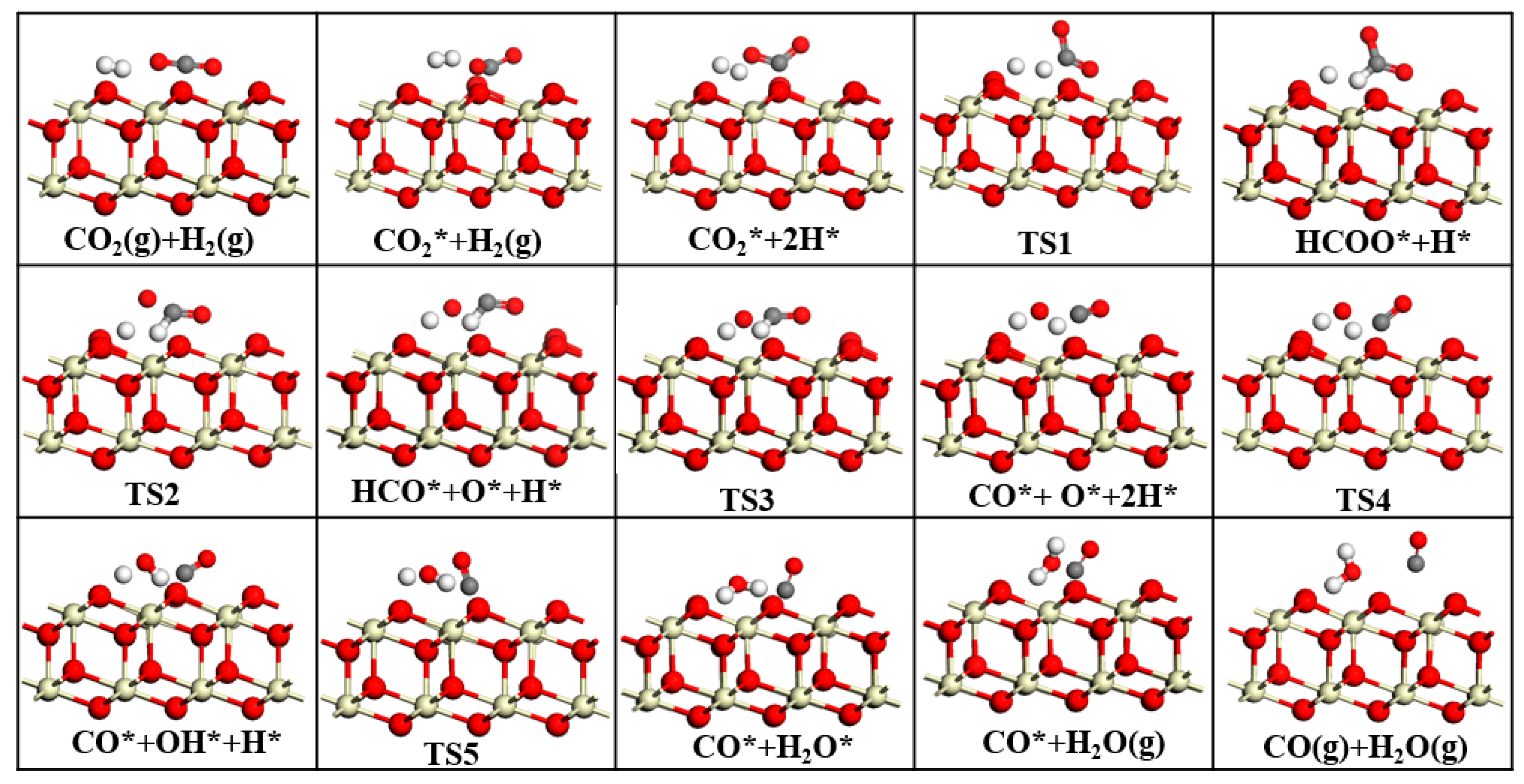 Catalysts 15 01028 g006