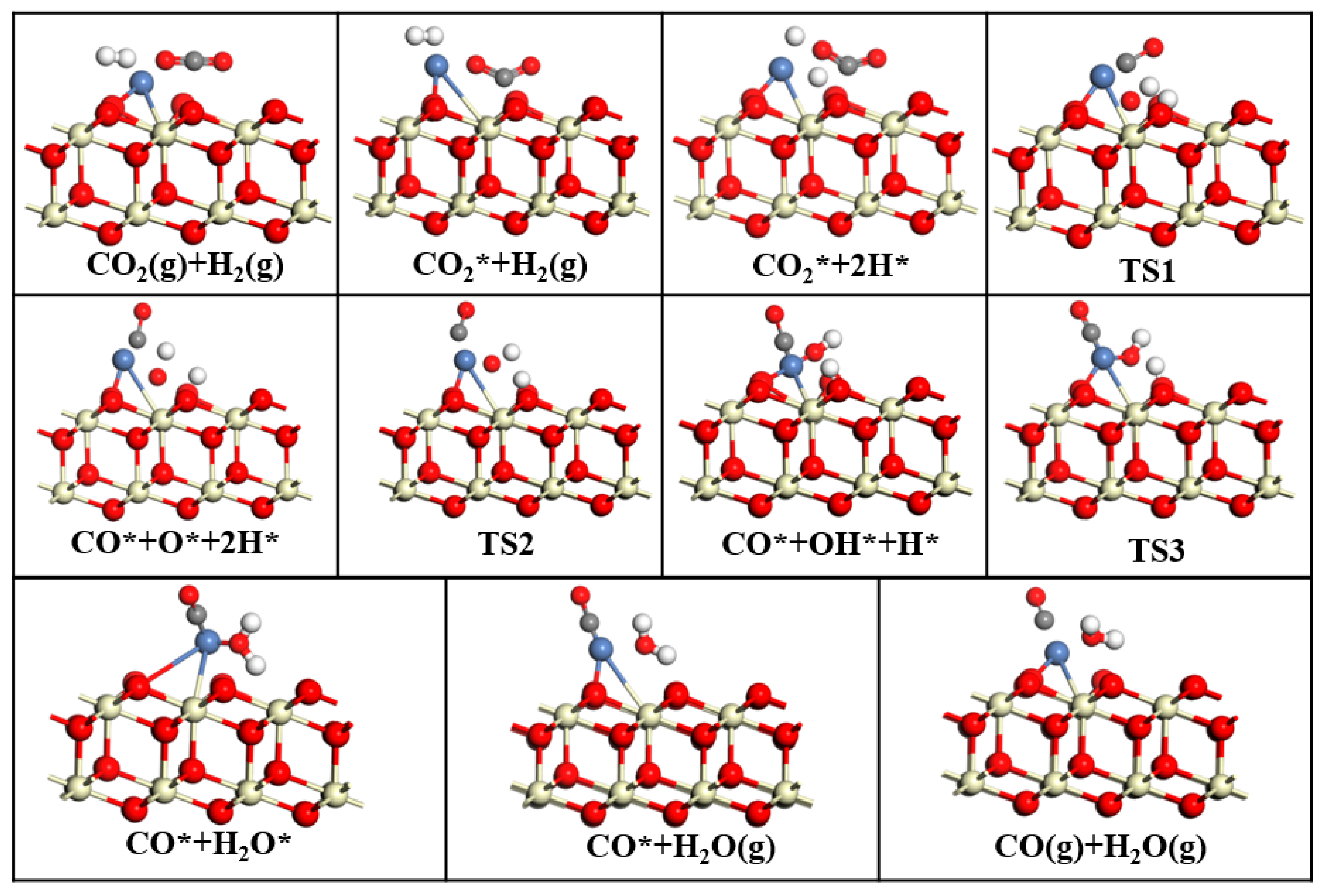 Catalysts 15 01028 g009