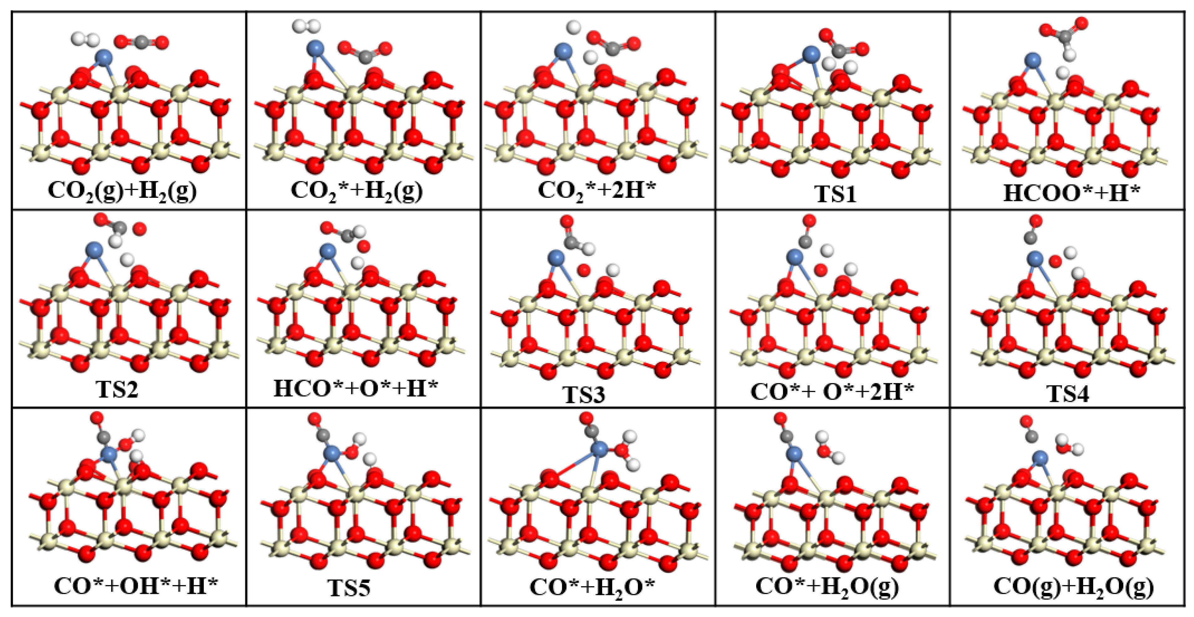 Catalysts 15 01028 g010