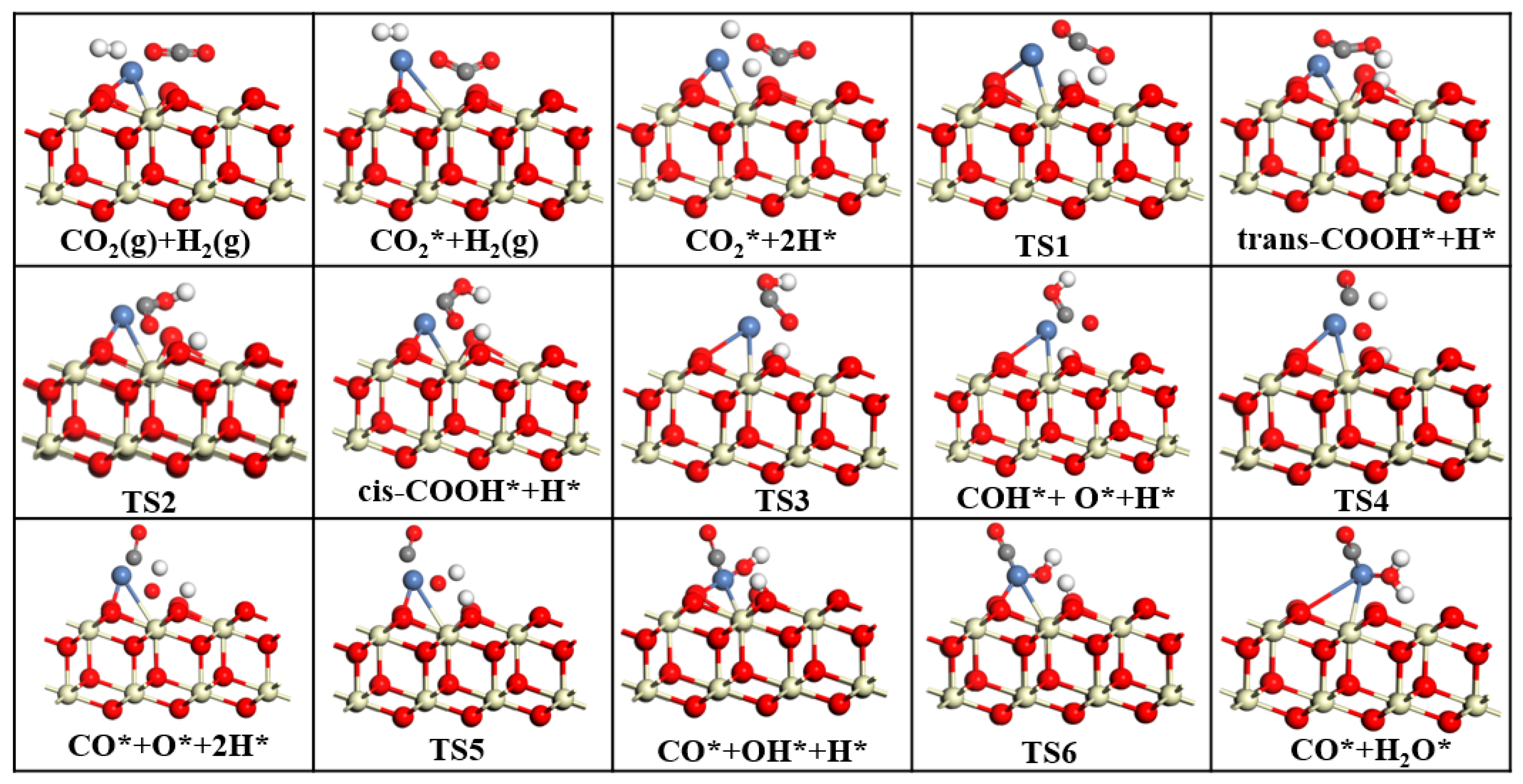 Catalysts 15 01028 g011
