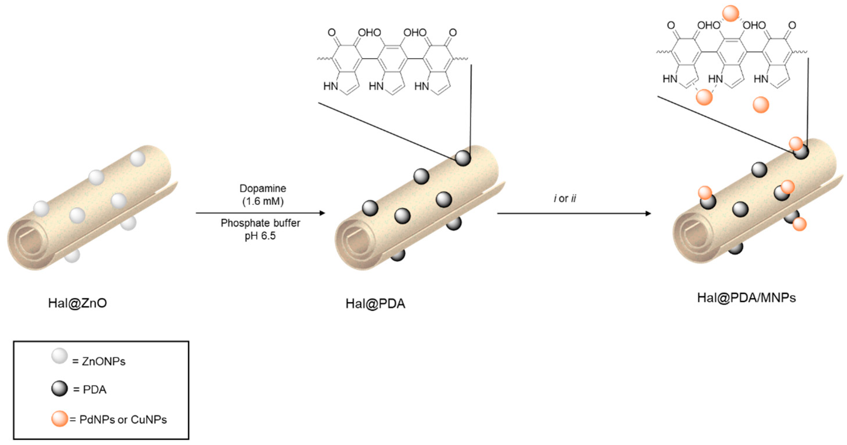 Catalysts 15 01029 g001 Catalysts 15 01029 g001