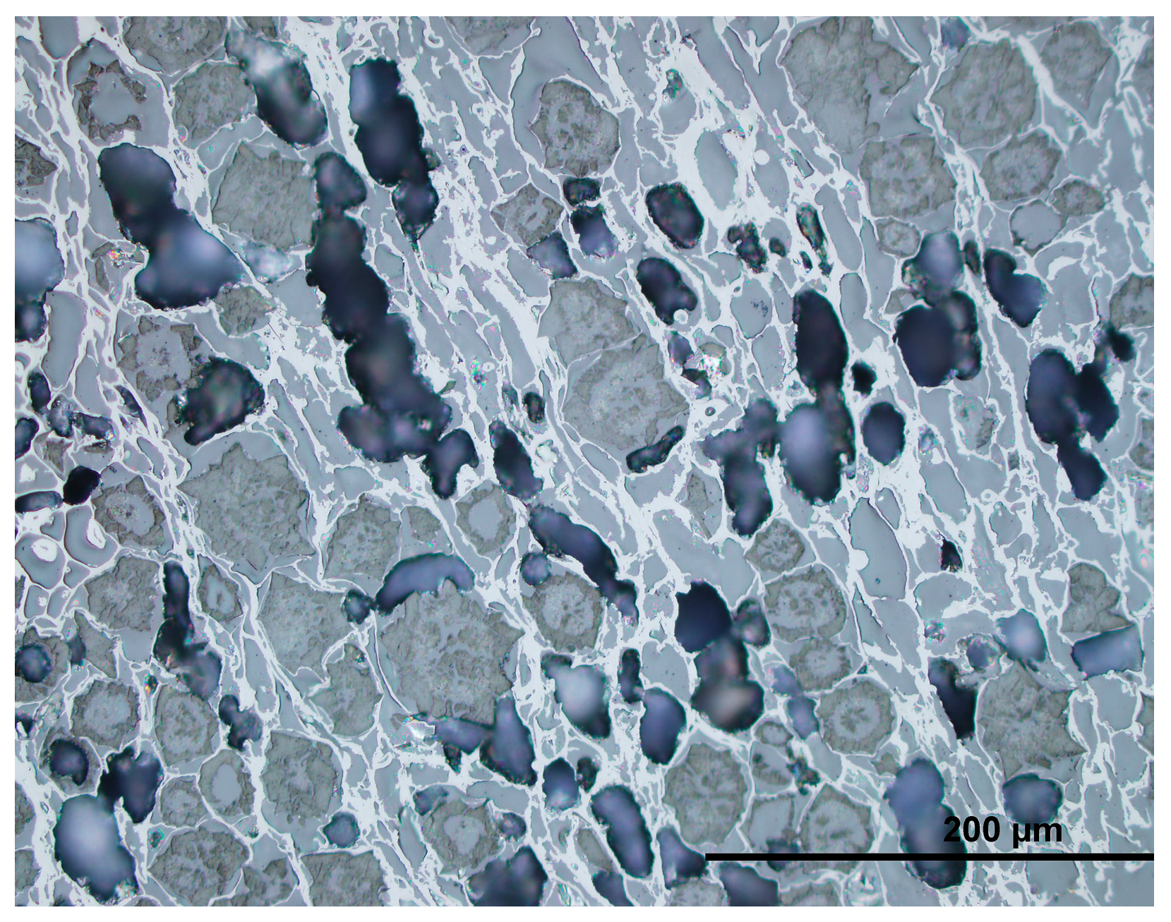 Catalysts 15 01033 g006 Catalysts 15 01033 g006