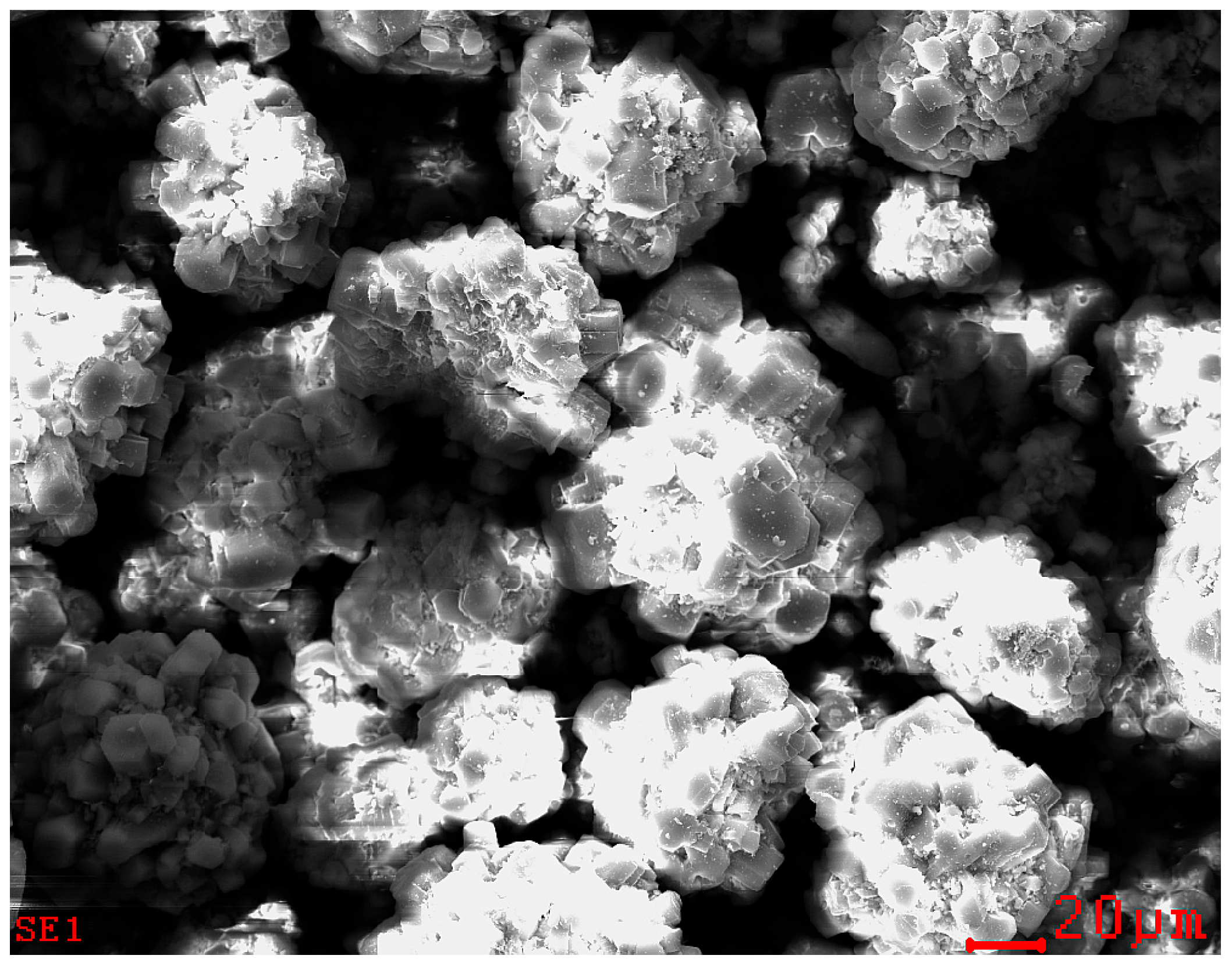 Catalysts 15 01033 g009 Catalysts 15 01033 g009