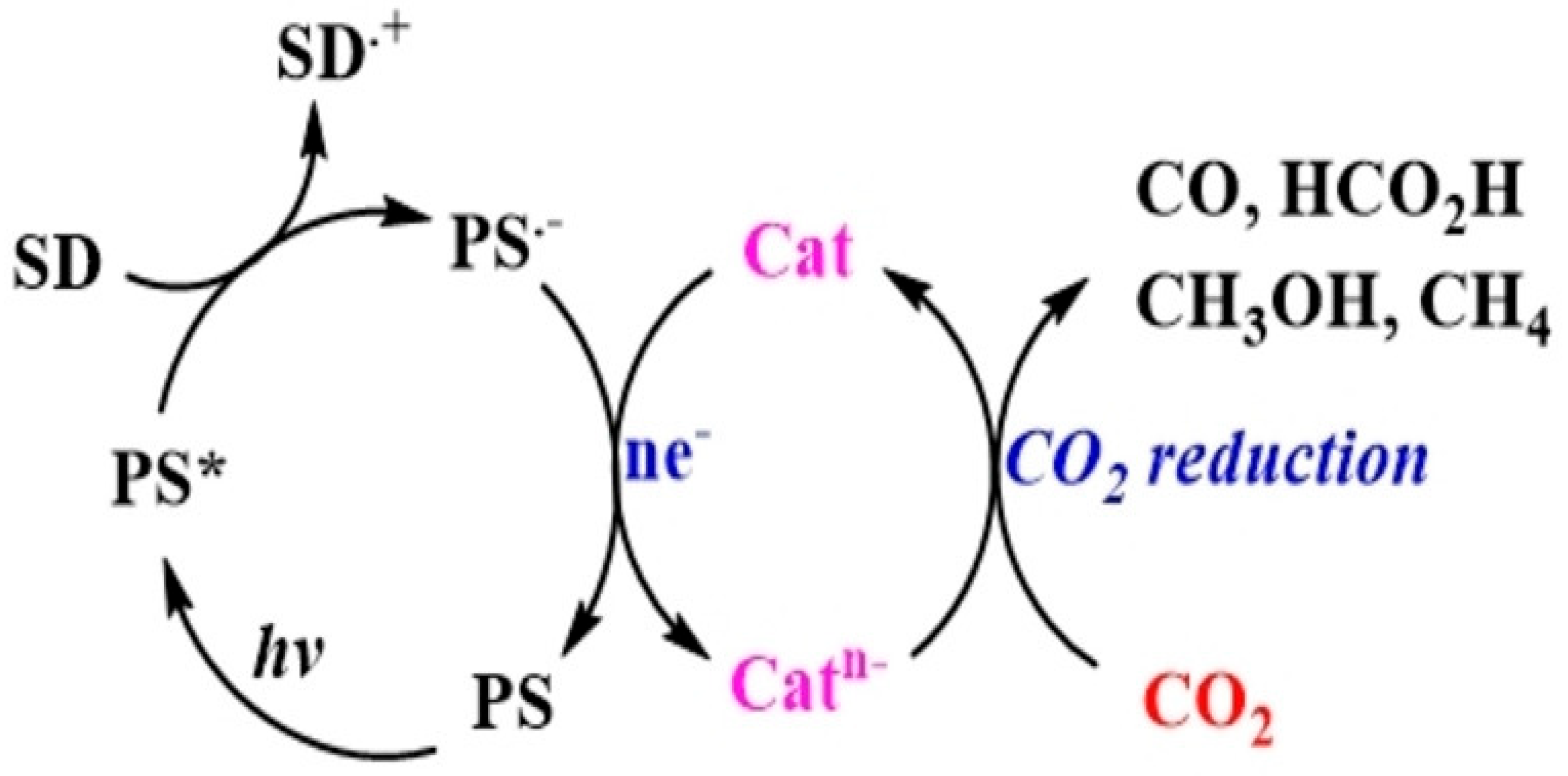 Catalysts 15 01036 g002