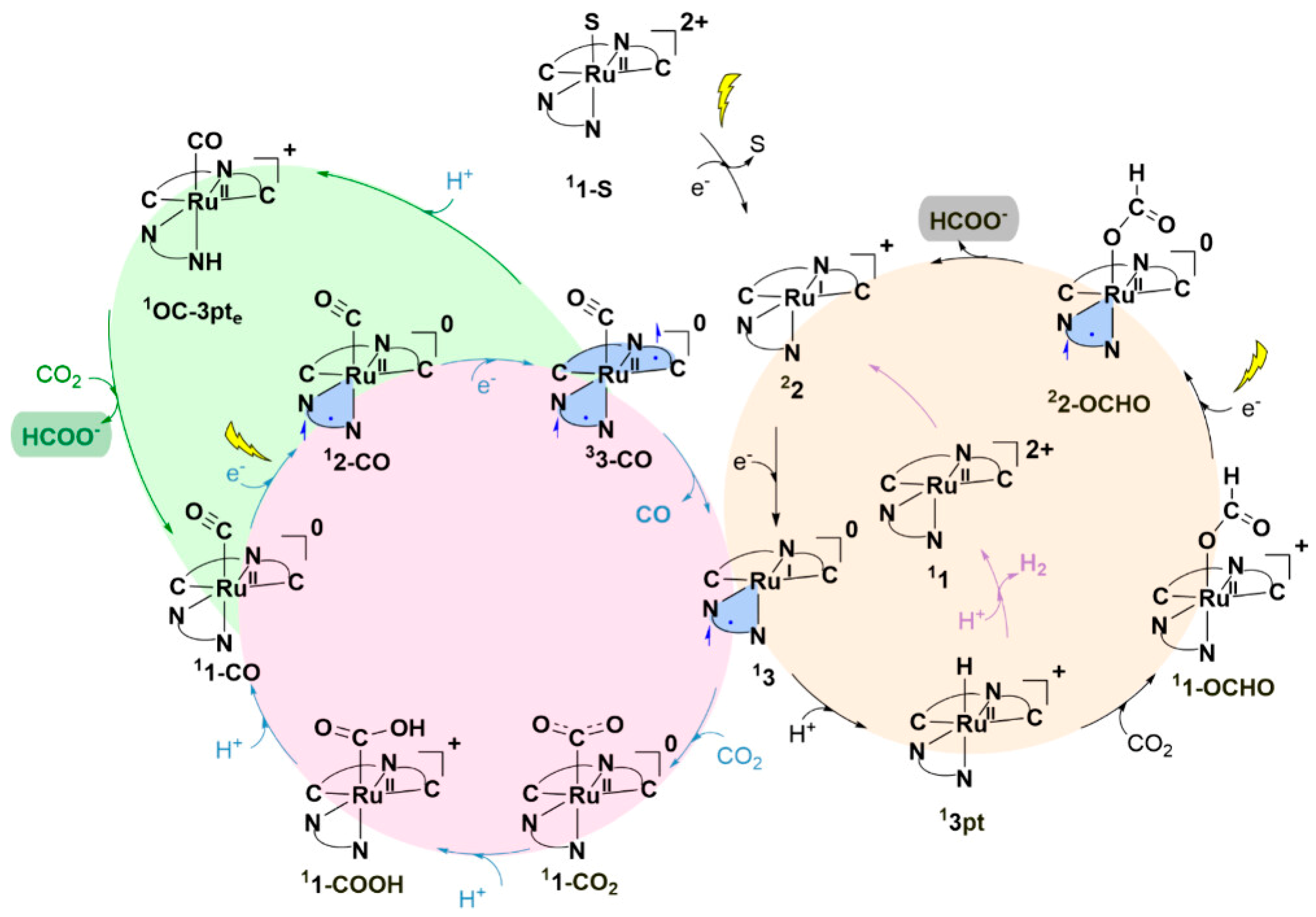 Catalysts 15 01036 g006