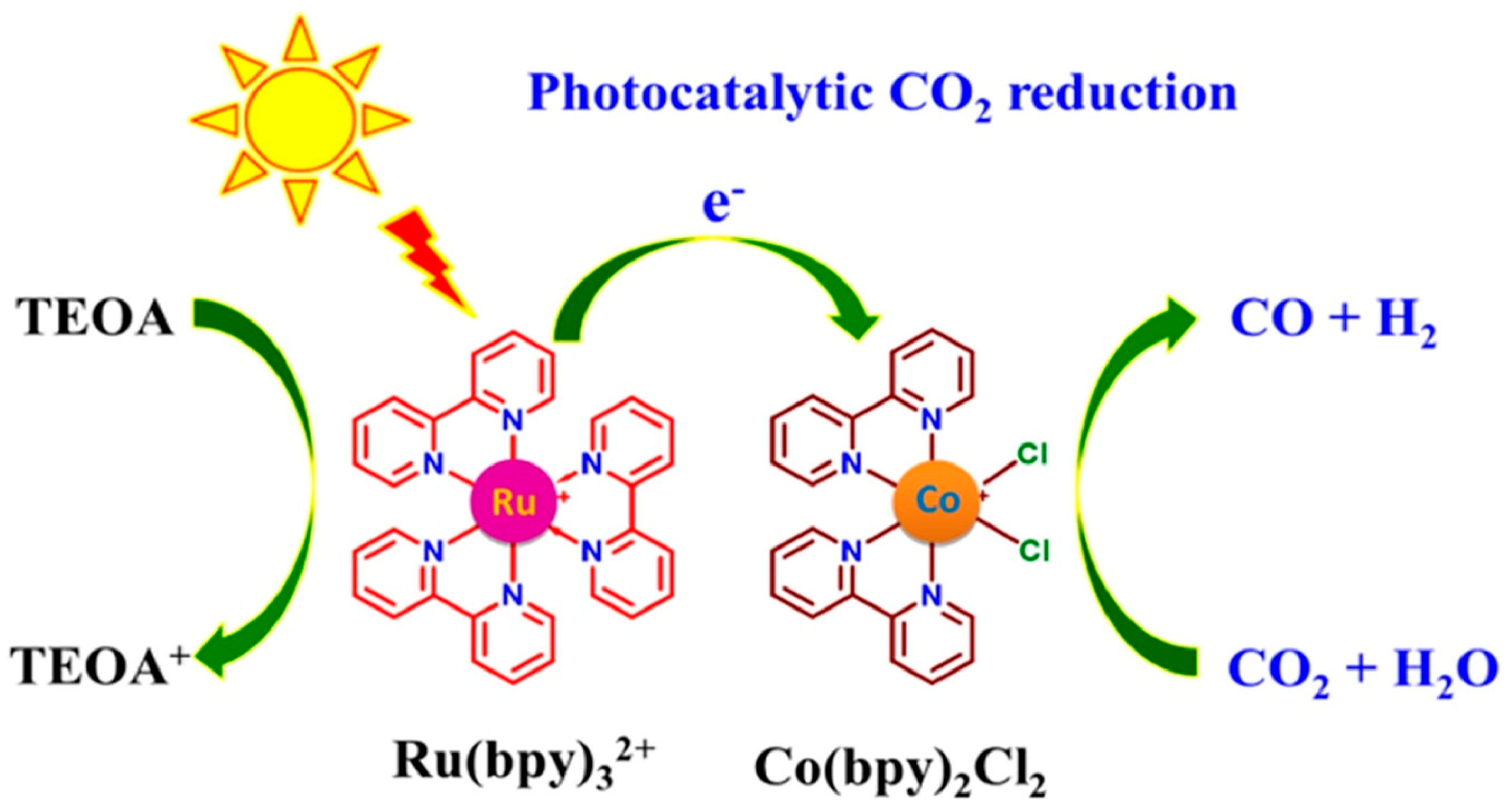 Catalysts 15 01036 g008
