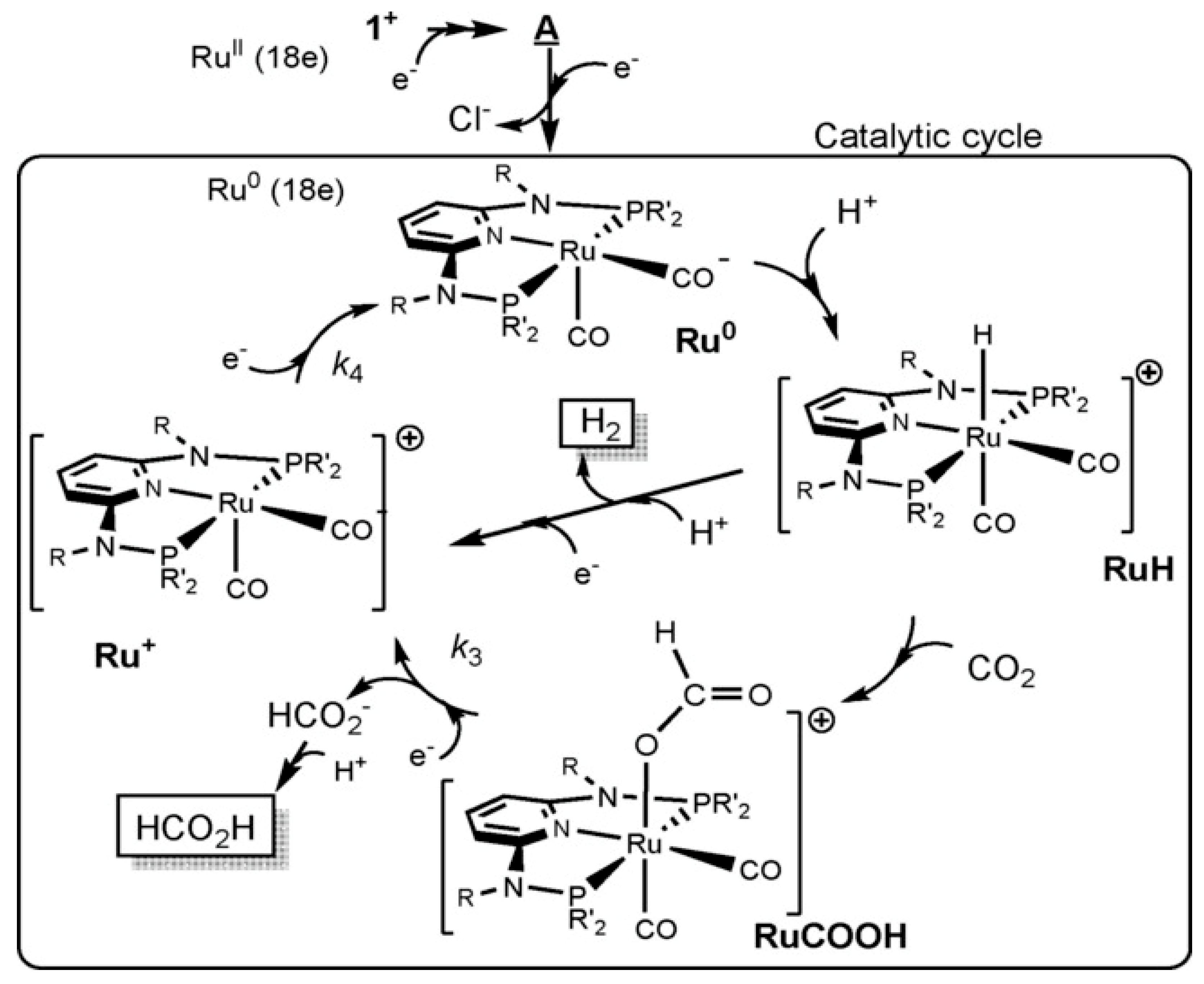 Catalysts 15 01036 g009