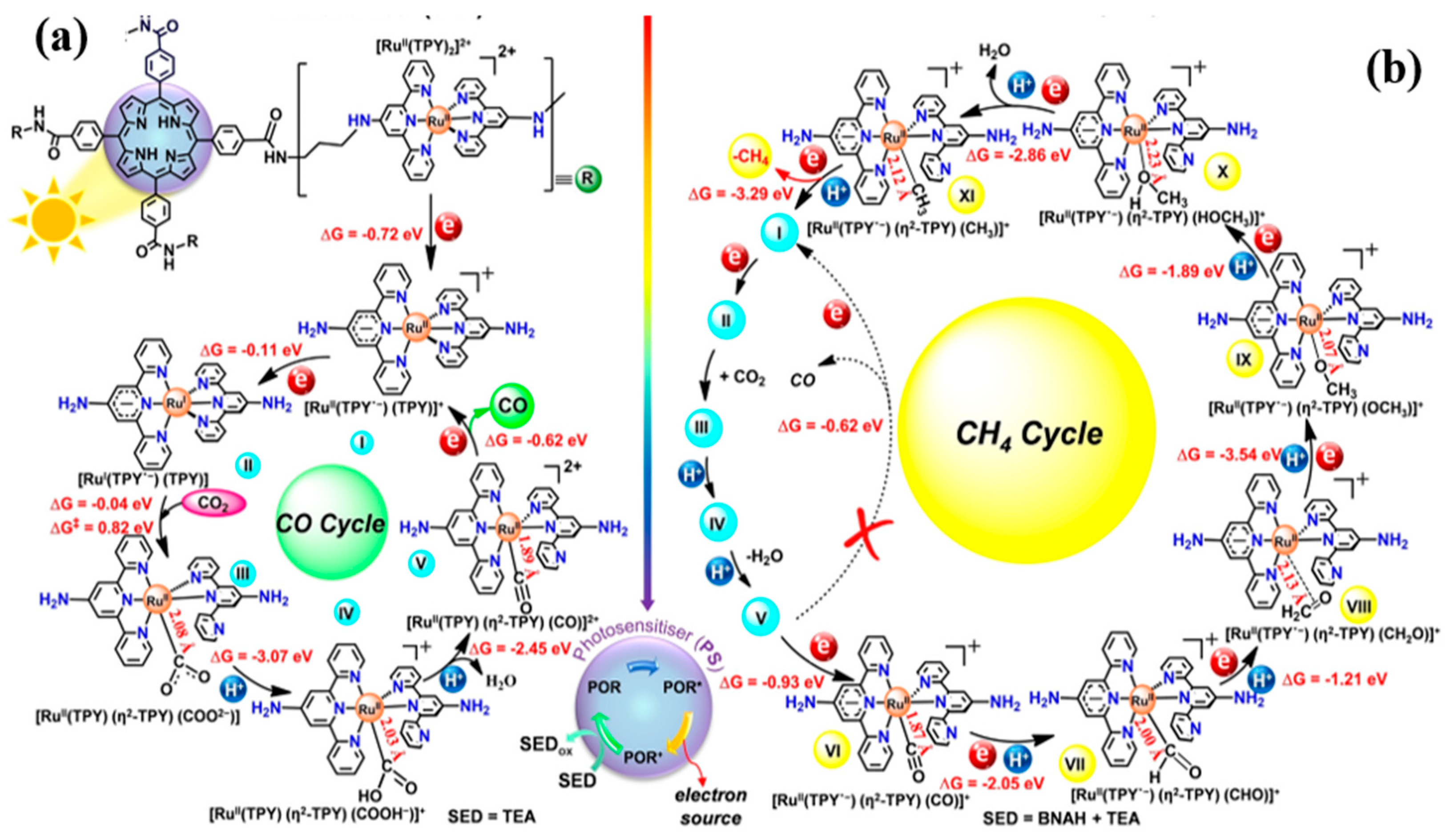 Catalysts 15 01036 g010