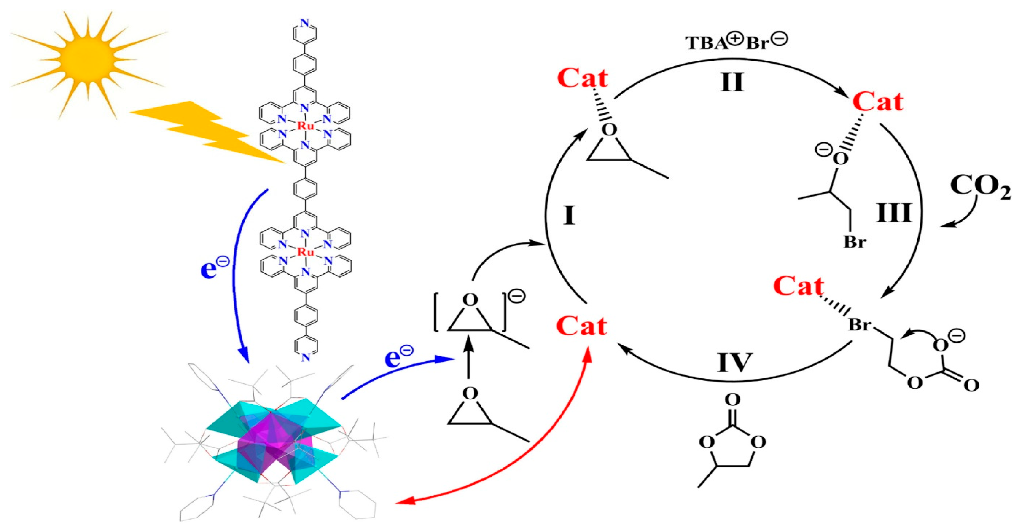 Catalysts 15 01036 g011