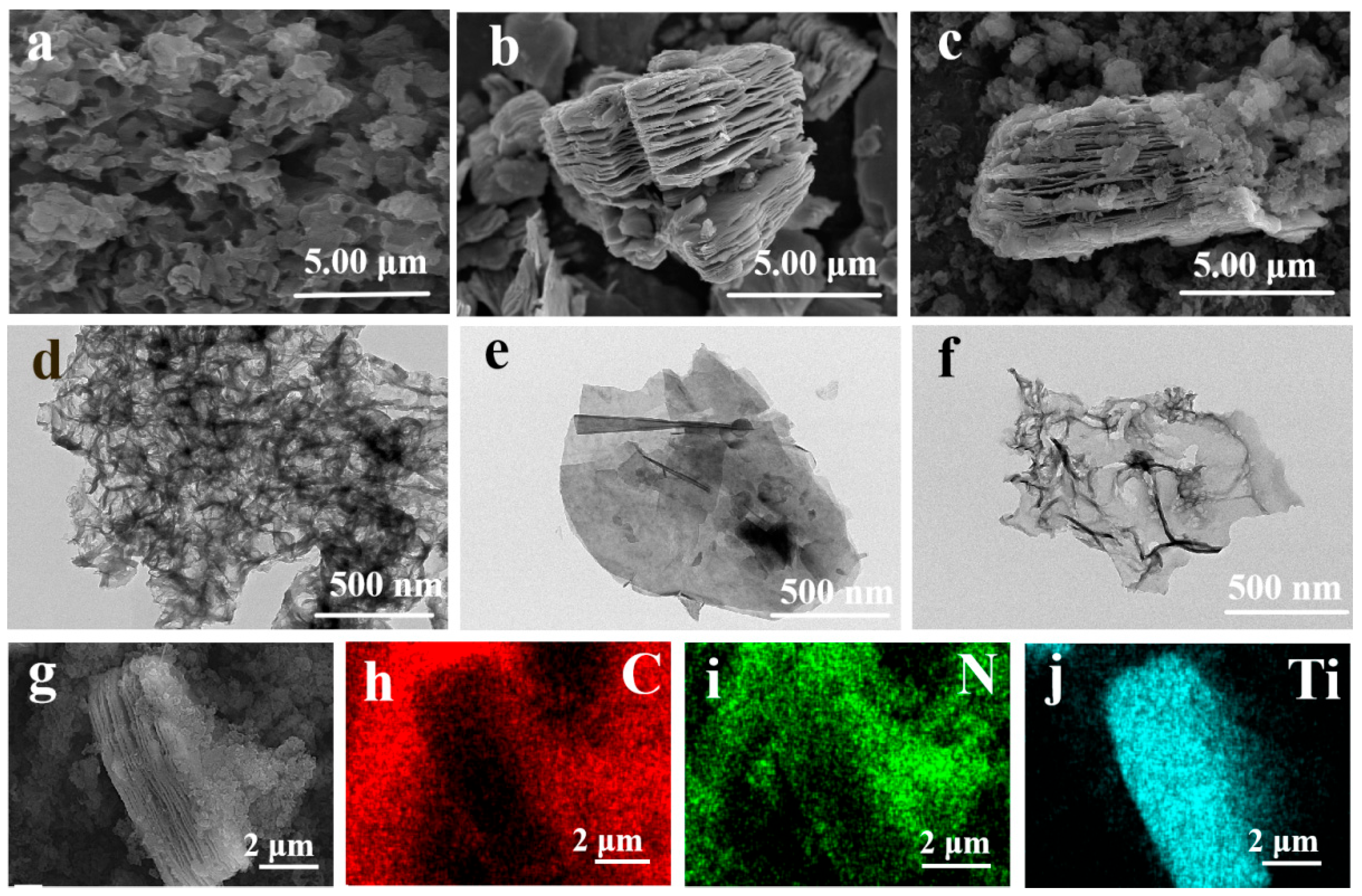 Catalysts 15 01037 g001