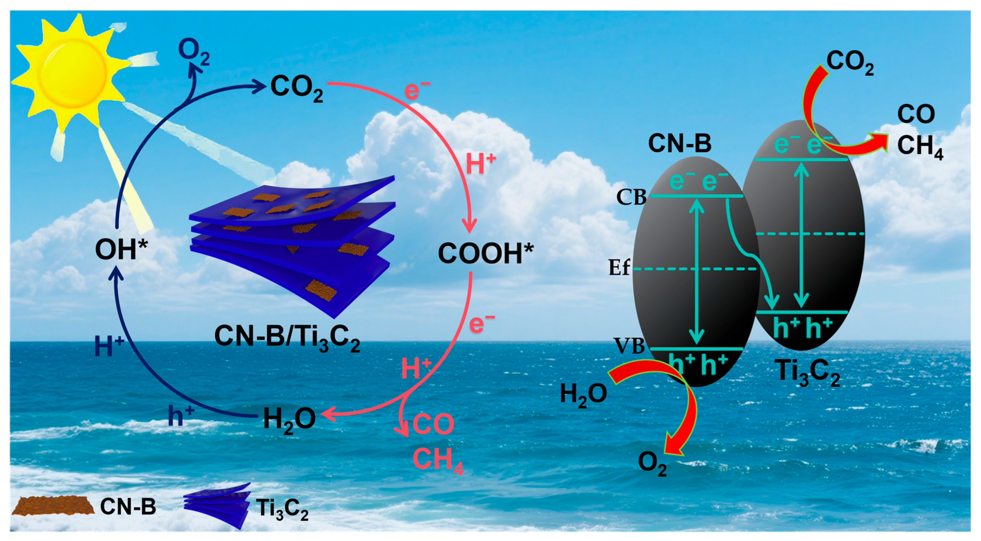Catalysts 15 01037 g011