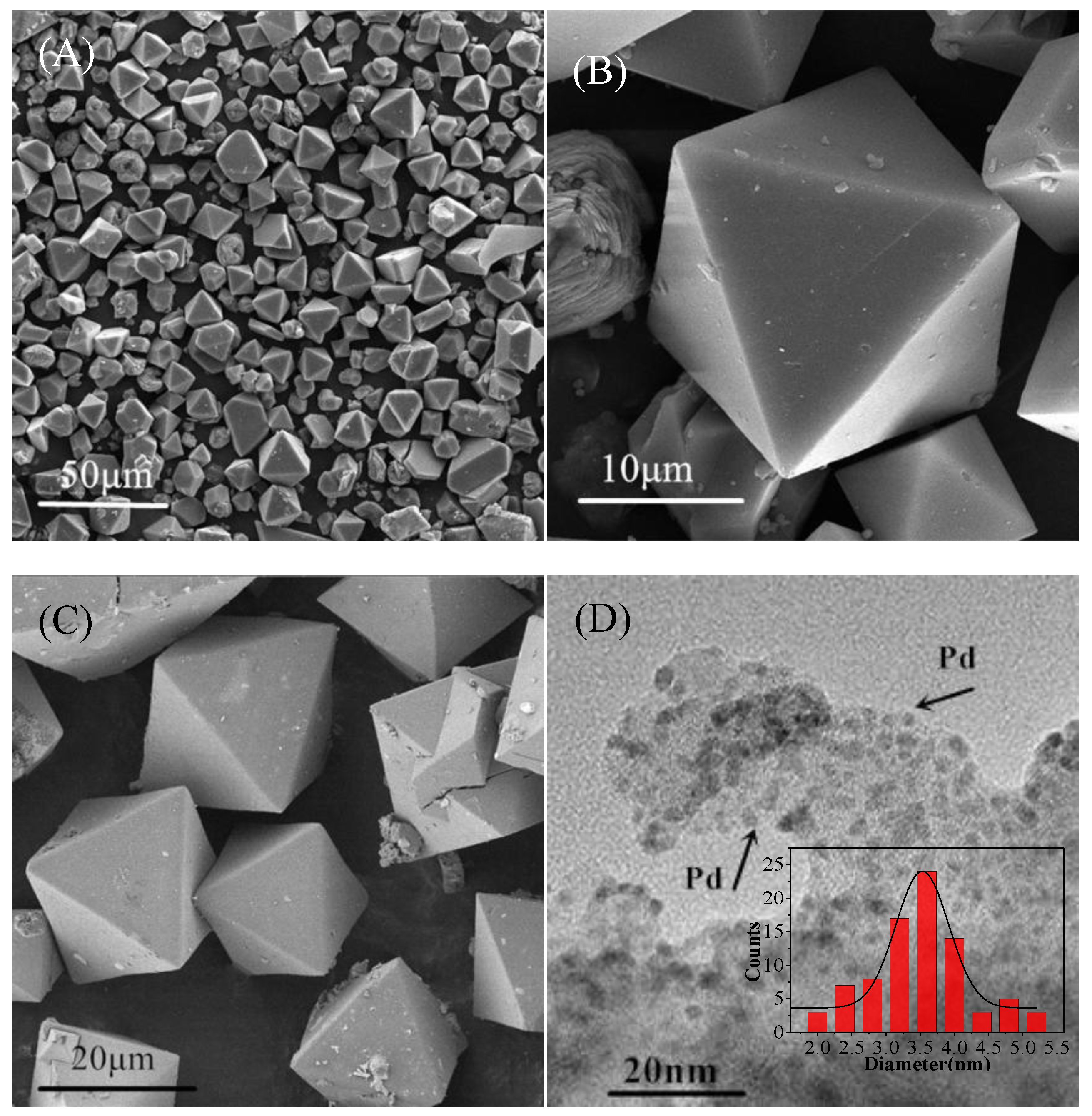 Catalysts 15 01039 g001