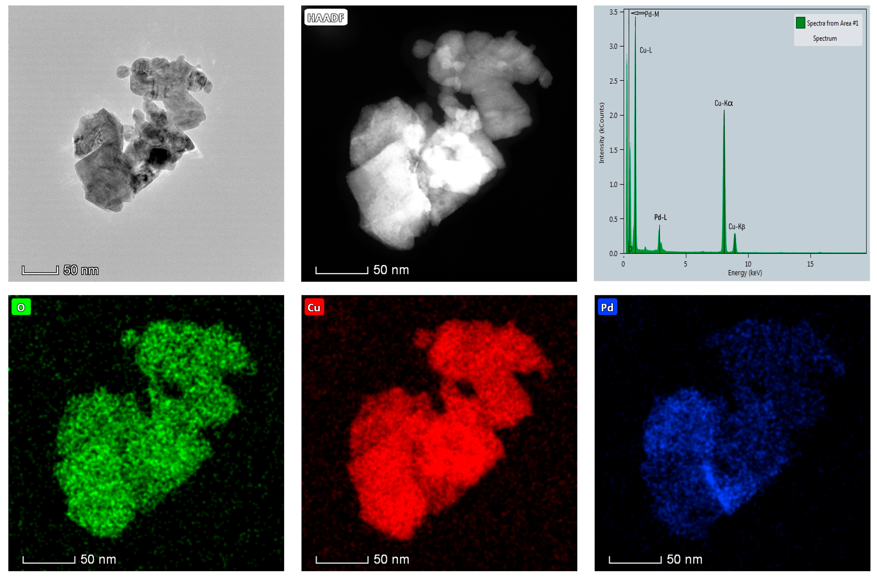Catalysts 15 01039 g004
