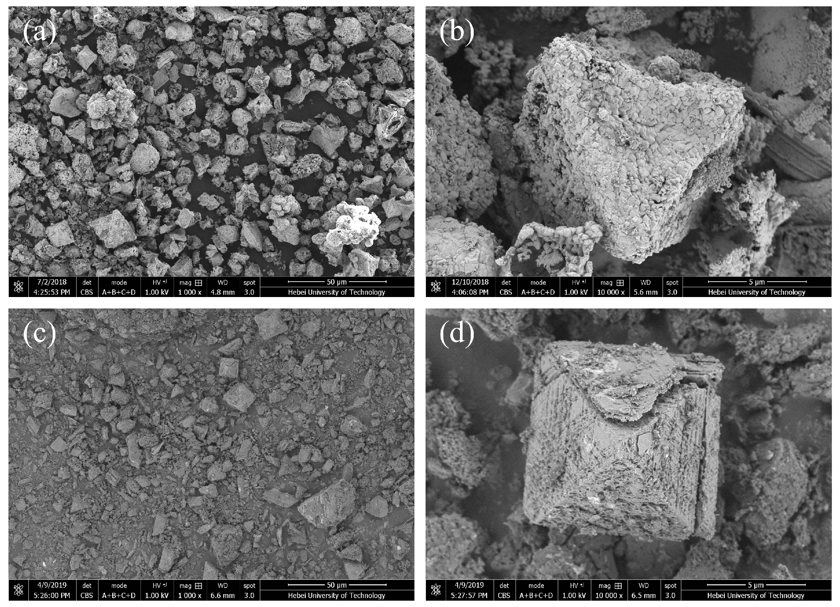 Catalysts 15 01039 g010