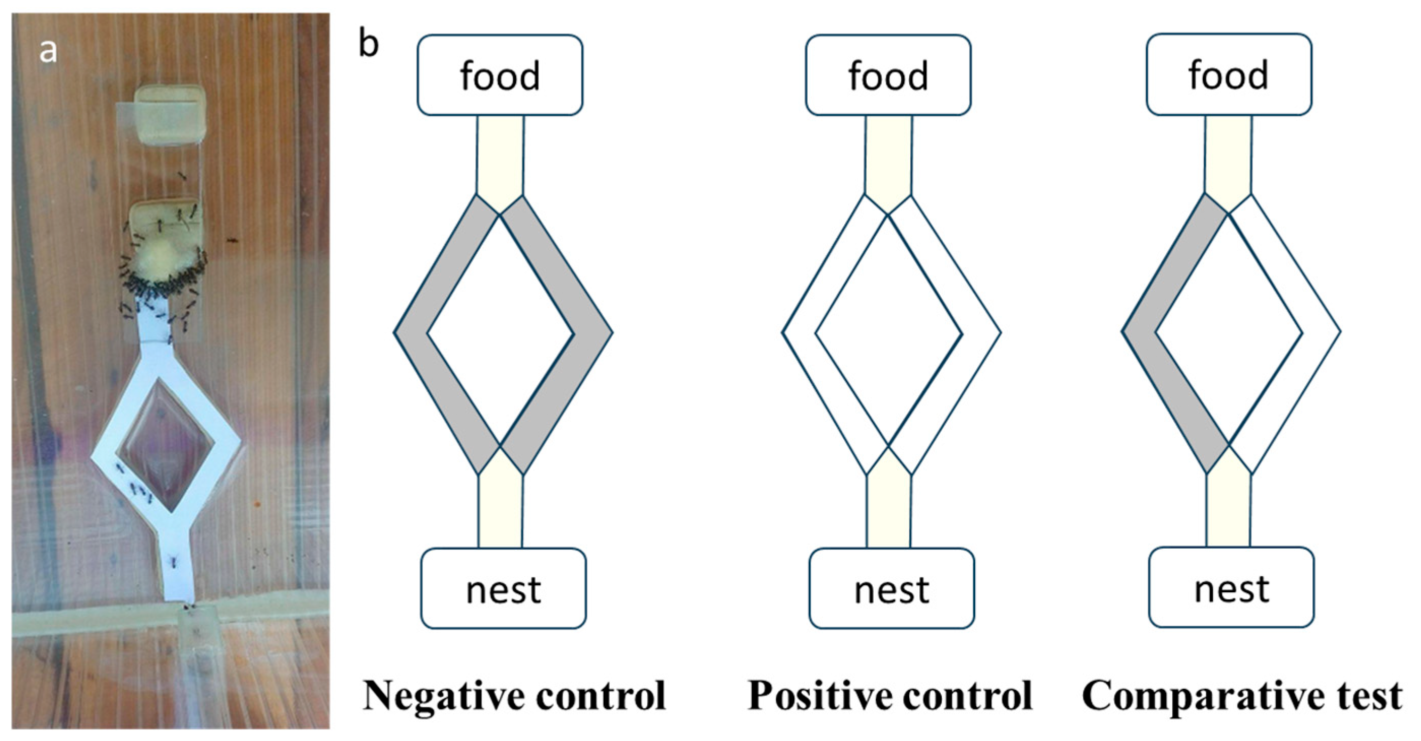 Catalysts 15 01040 g007 Catalysts 15 01040 g007